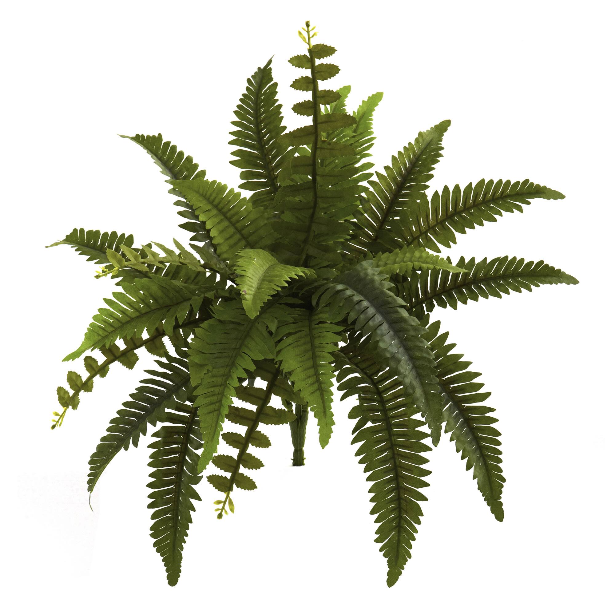 Front. BreeBe - 14" Boston Fern Artificial Plant (Set of 6) - Green.