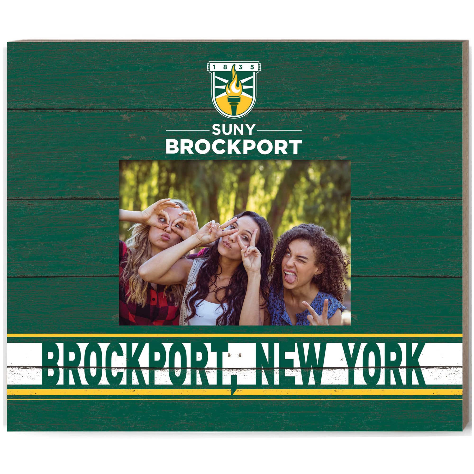 Jardine - SUNY Brockport Golden Eagles 11'' x 13'' Team Spirit Scholastic Picture Frame - Green price history on PriceWatchPro