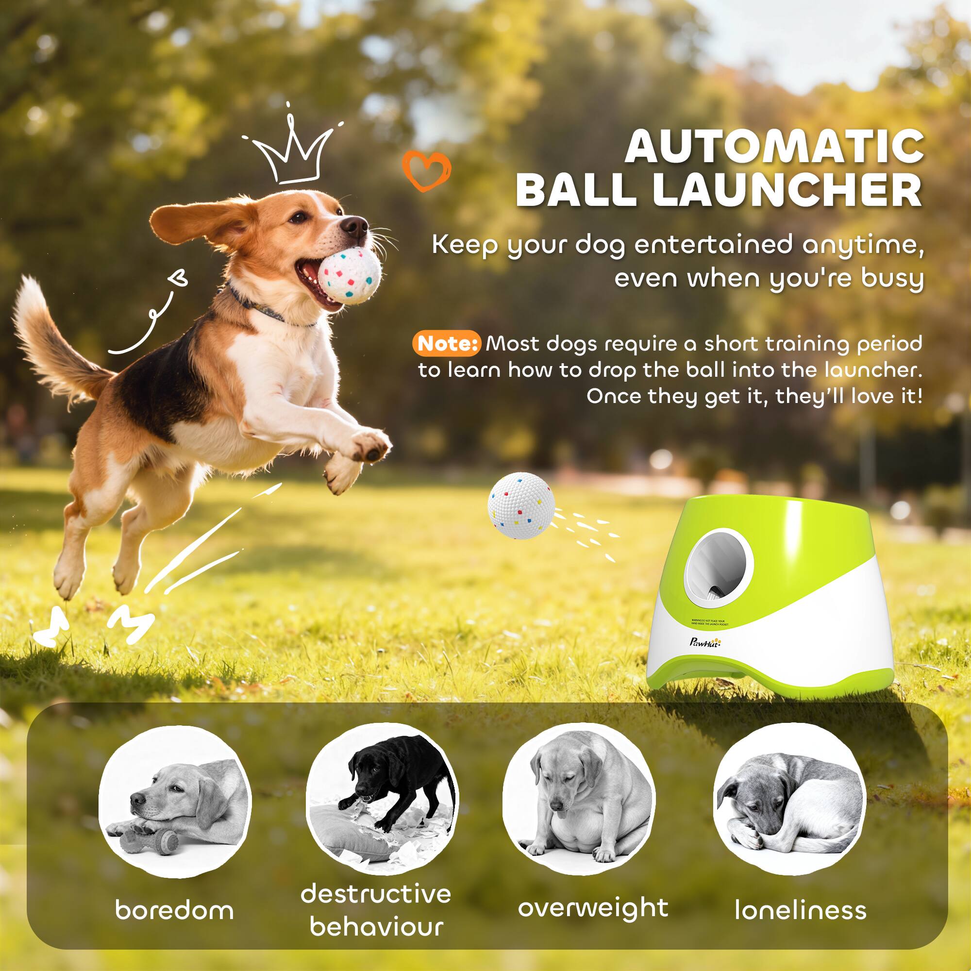 AUTOMATIC BALL LAUNCHER  
Keep your dog entertained anytime, even when you're busy

Note: Most dogs require a short training period to learn how to drop the ball into the launcher. Once they get it, they'll love it!

1. boredom
2. destructive behaviour
3. overweight
4. loneliness