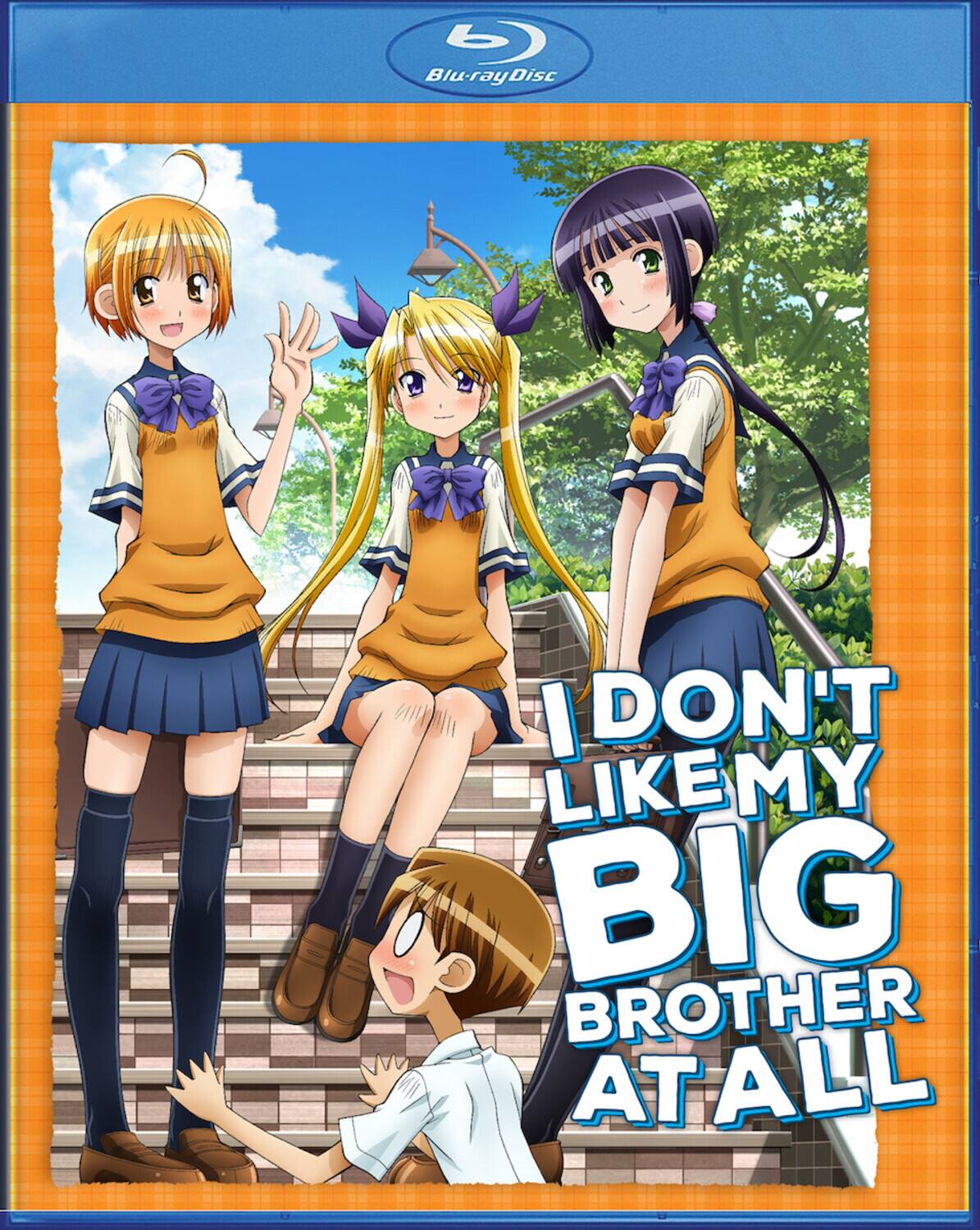 Front. I Don't Like My Big Brother At All!   - BLU-RAY.