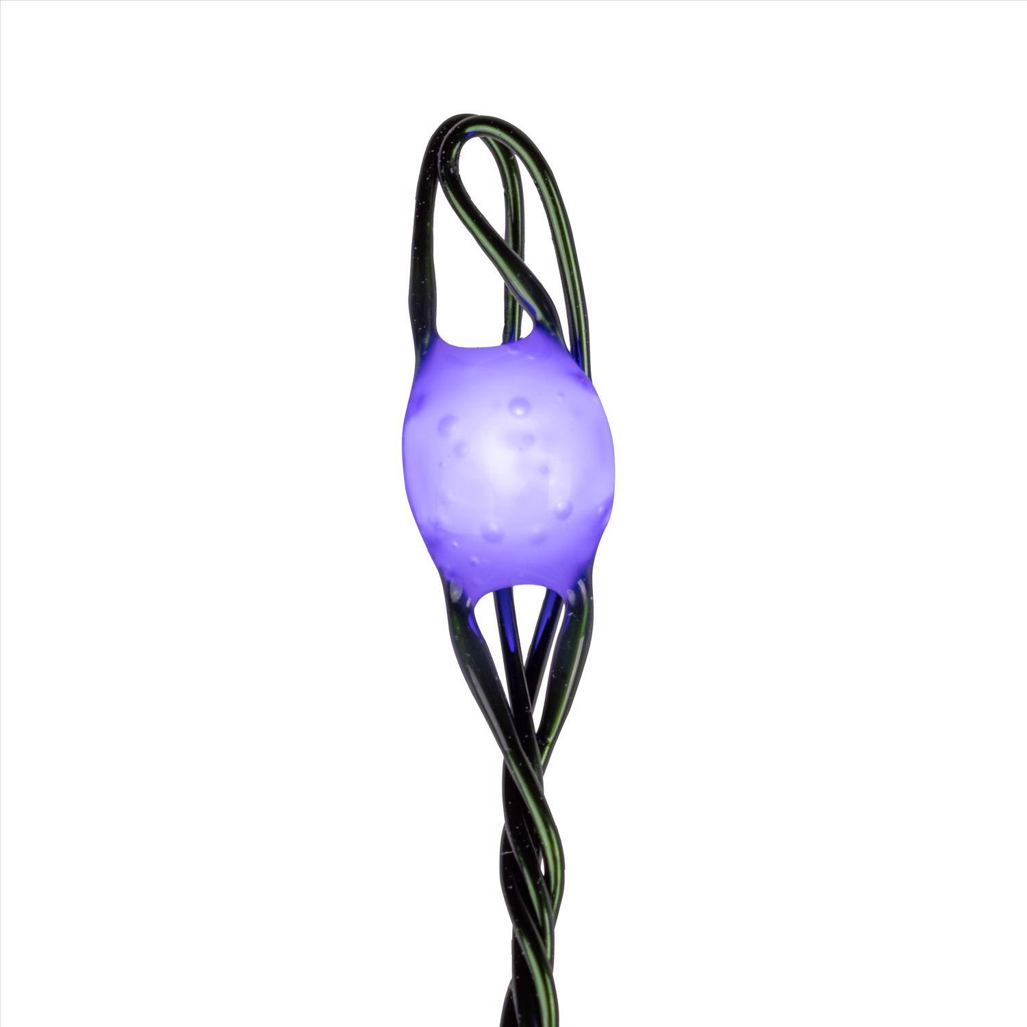 Left. Celebrations - Celebrations LED Big Seed Cluster Blue 250 ct String Christmas Lights 10 ft..