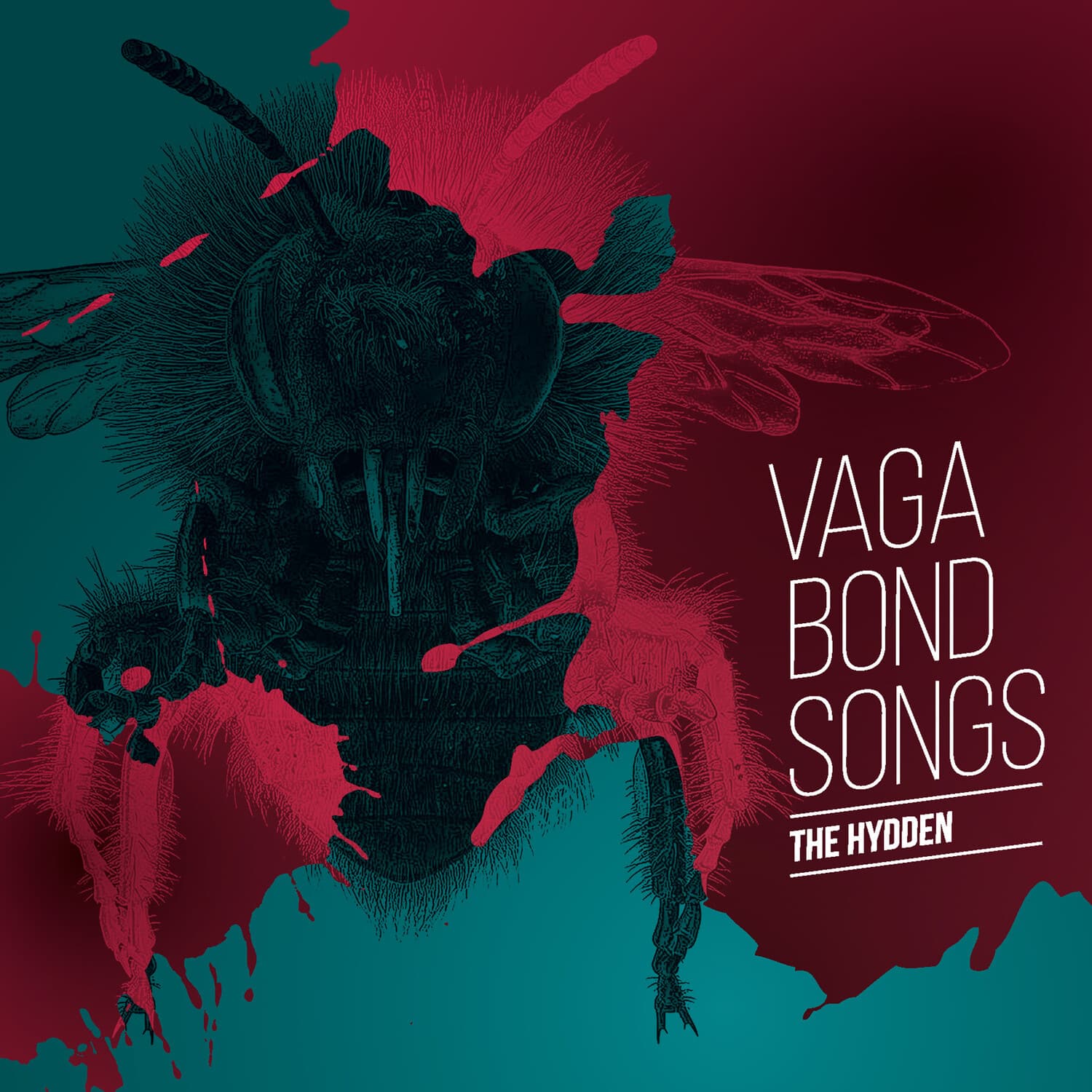 Hydden - Vagabond Songs  - VINYL LP