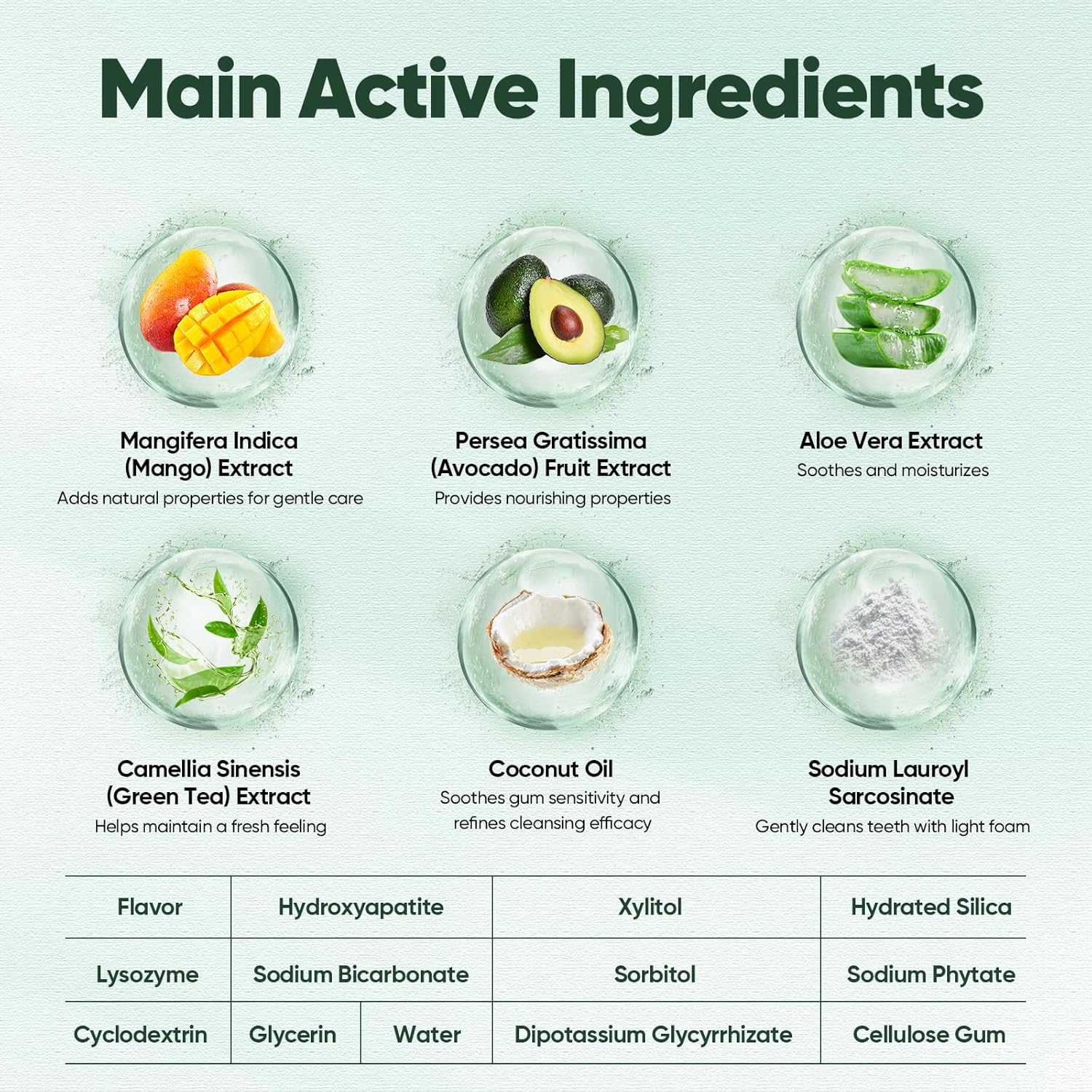 Main Active Ingredients

- Mangifera Indica (Mango) Extract: Adds natural properties for gentle care
- Persea Gratissima (Avocado) Fruit Extract: Provides nourishing properties
- Aloe Vera Extract: Soothes and moisturizes
- Camellia Sinensis (Green Tea) Extract: Helps maintain a fresh feeling
- Coconut Oil: Soothes gum sensitivity and refines cleansing efficacy
- Sodium Lauroyl Sarcosinate: Gently cleans teeth with light foam

Flavor
- Hydroxyapatite
- Xylitol
- Hydrated Silica
- Lysozyme
- Sodium Bicarbonate
- Sorbitol
- Sodium Phytate
- Cyclodextrin
- Glycerin
- Water
- Dipotassium Glycyrrhizate
- Cellulose Gum