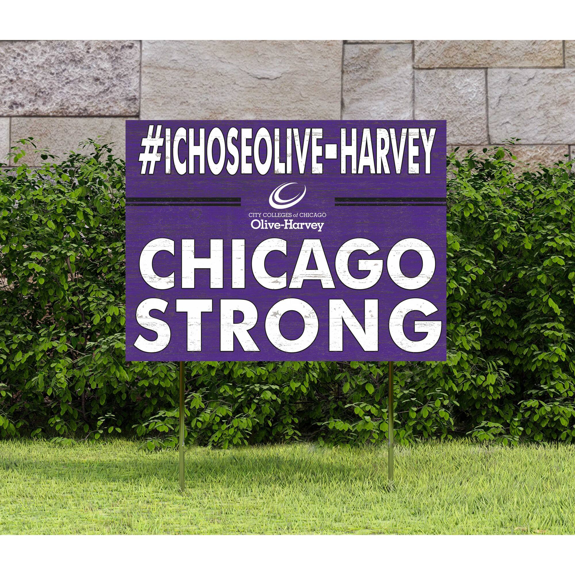 #ICHOOSEOLIVE-HARVEY  
CITY COLLEGES OF CHICAGO  
Olive-Harvey  
CHICAGO STRONG