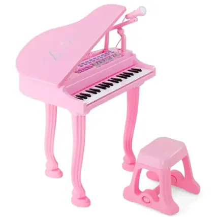 The text on the image reads "Little Princess".