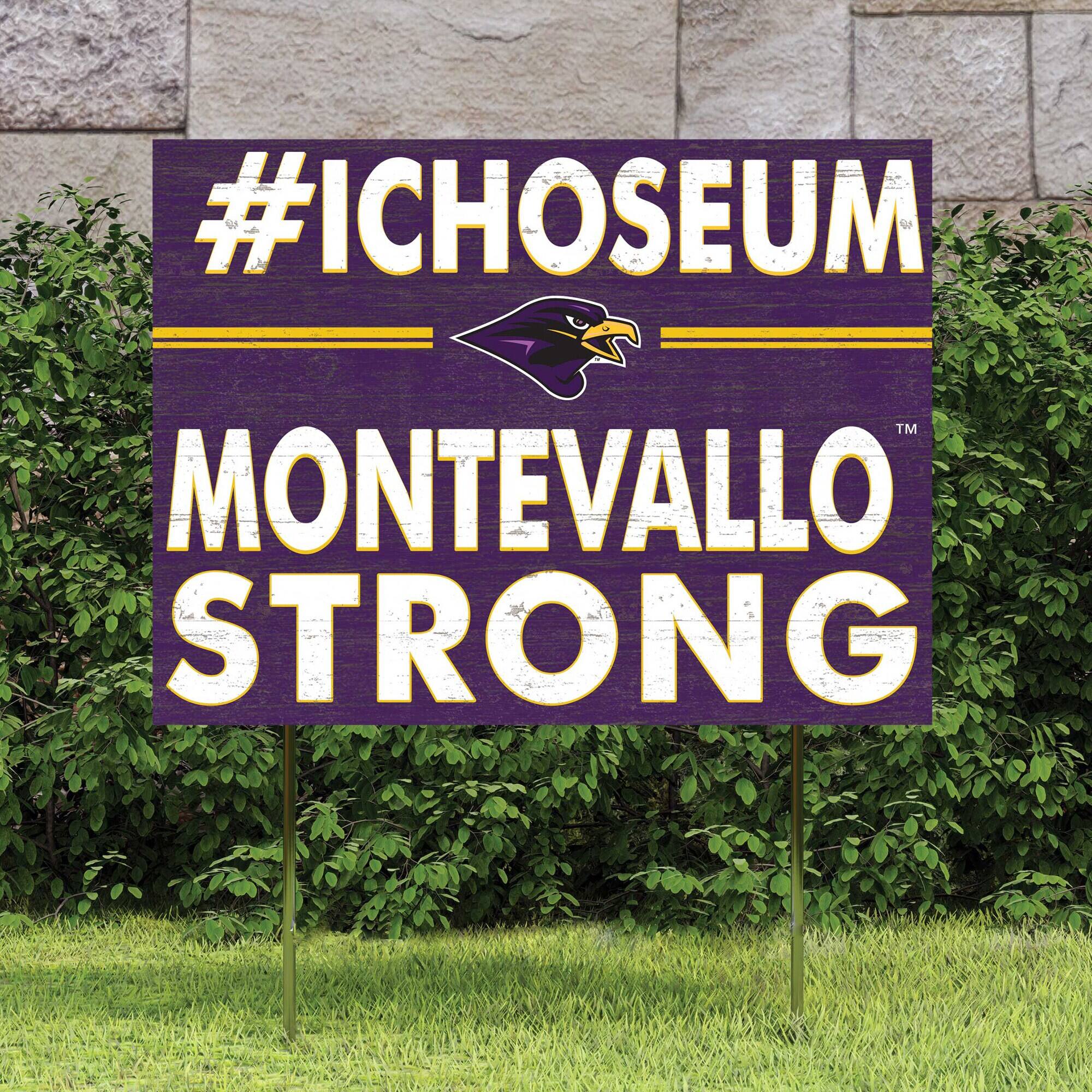 #ICHOOSEUM  
MONTEVALLO  
STRONG