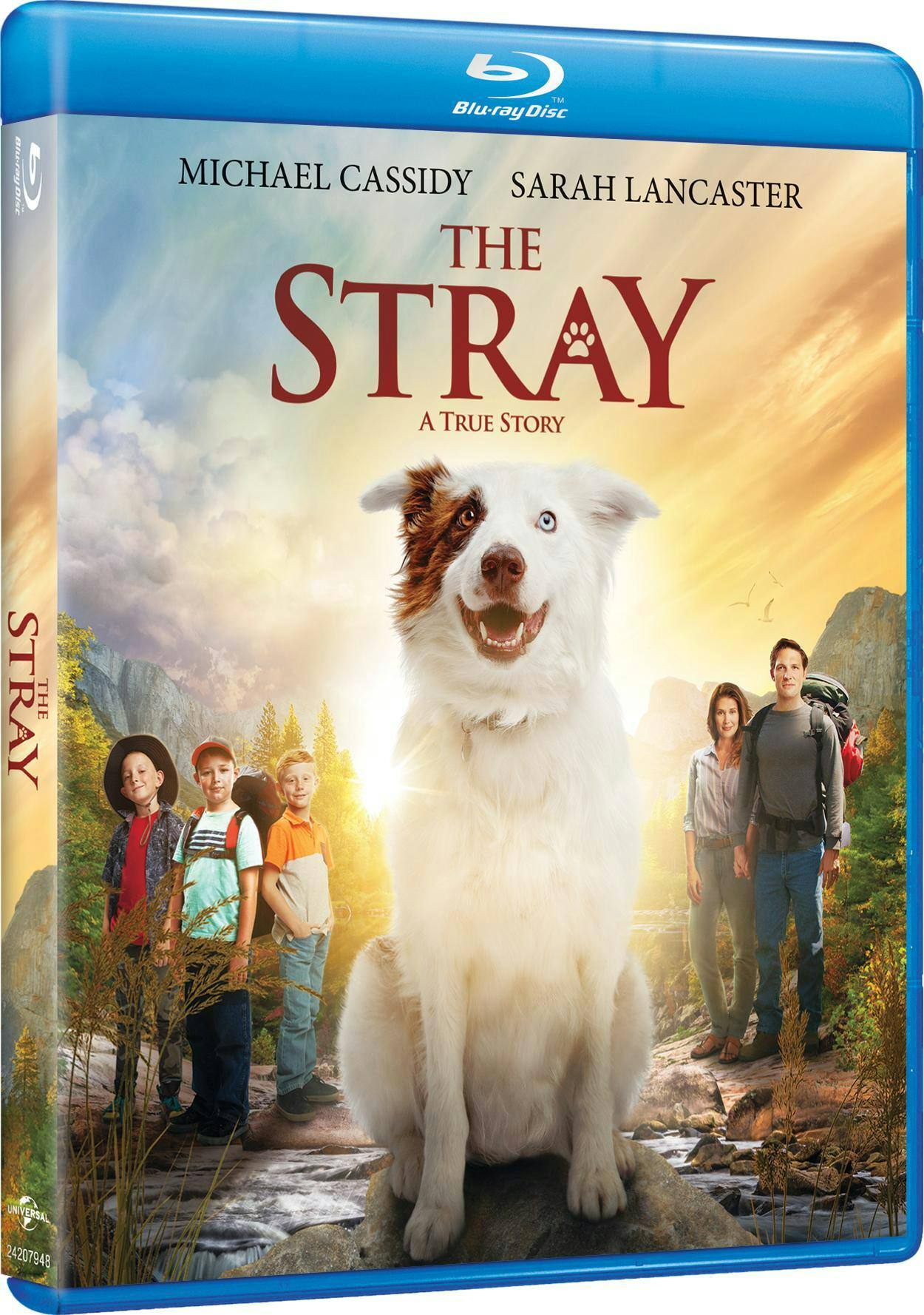Angle. The Stray [Blu-ray].