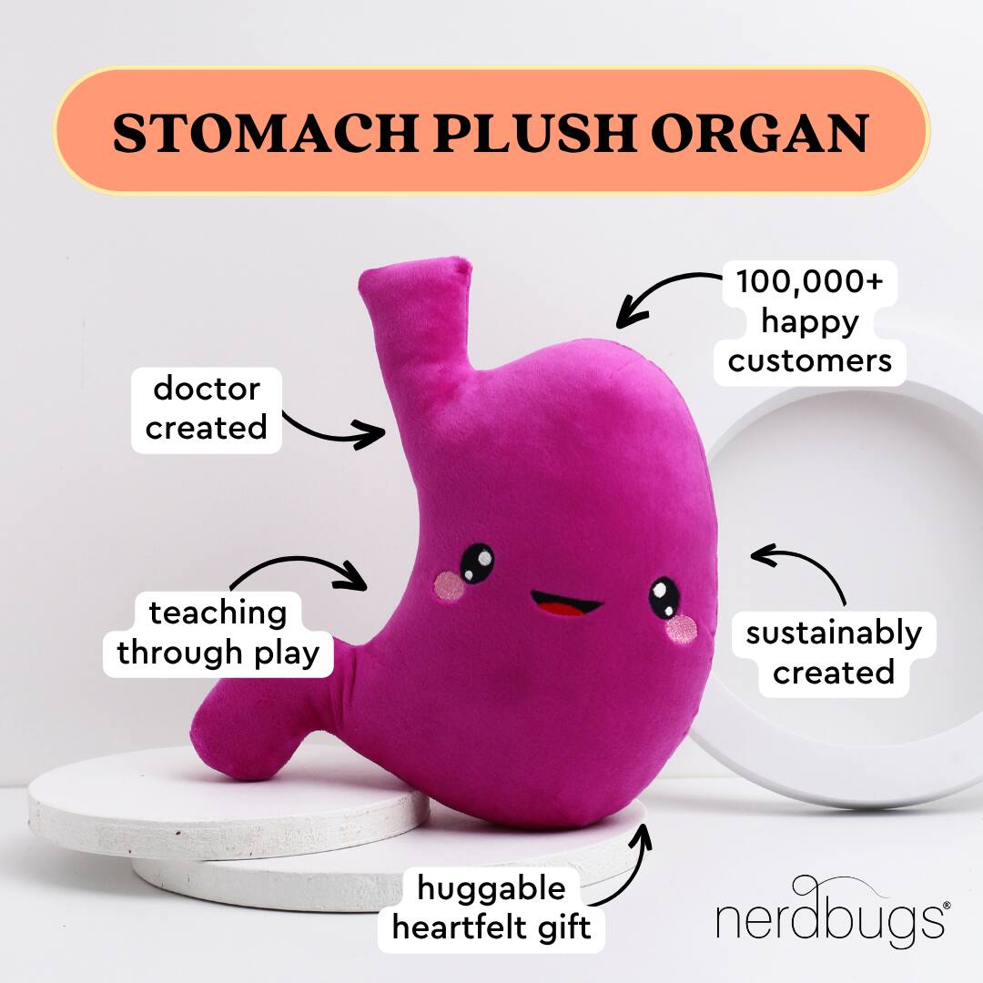 STOMACH PLUSH ORGAN

- doctor created
- teaching through play
- sustainably created
- huggable heartfelt gift
- 100,000+ happy customers

nerdbugs®