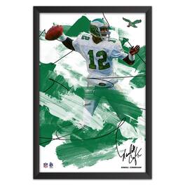 Sporticulture - Randall Cunningham Philadelphia Eagles 27" x 39" Brush Stroke Player Framed Art Print - Multicolor