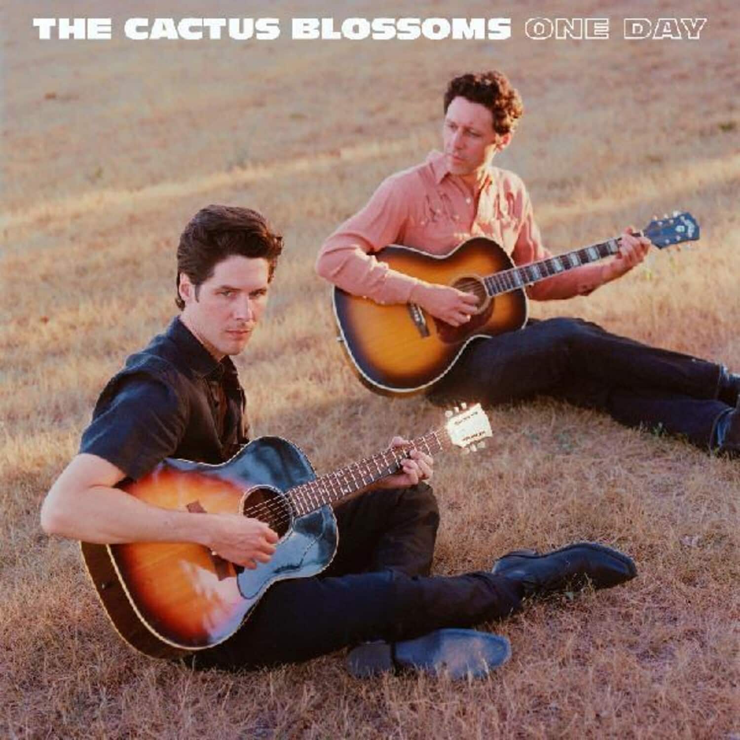 Cactus Blossoms - One Day  - COMPACT DISCS
