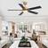 Back. Breezary - 52" Modern Indoor Ceiling Fan with LED Light, 5 Reversible Plywood Blades, 6-Speed DC Motor, Remote, Timer, 5" Downrod - Gold and Matte Black.