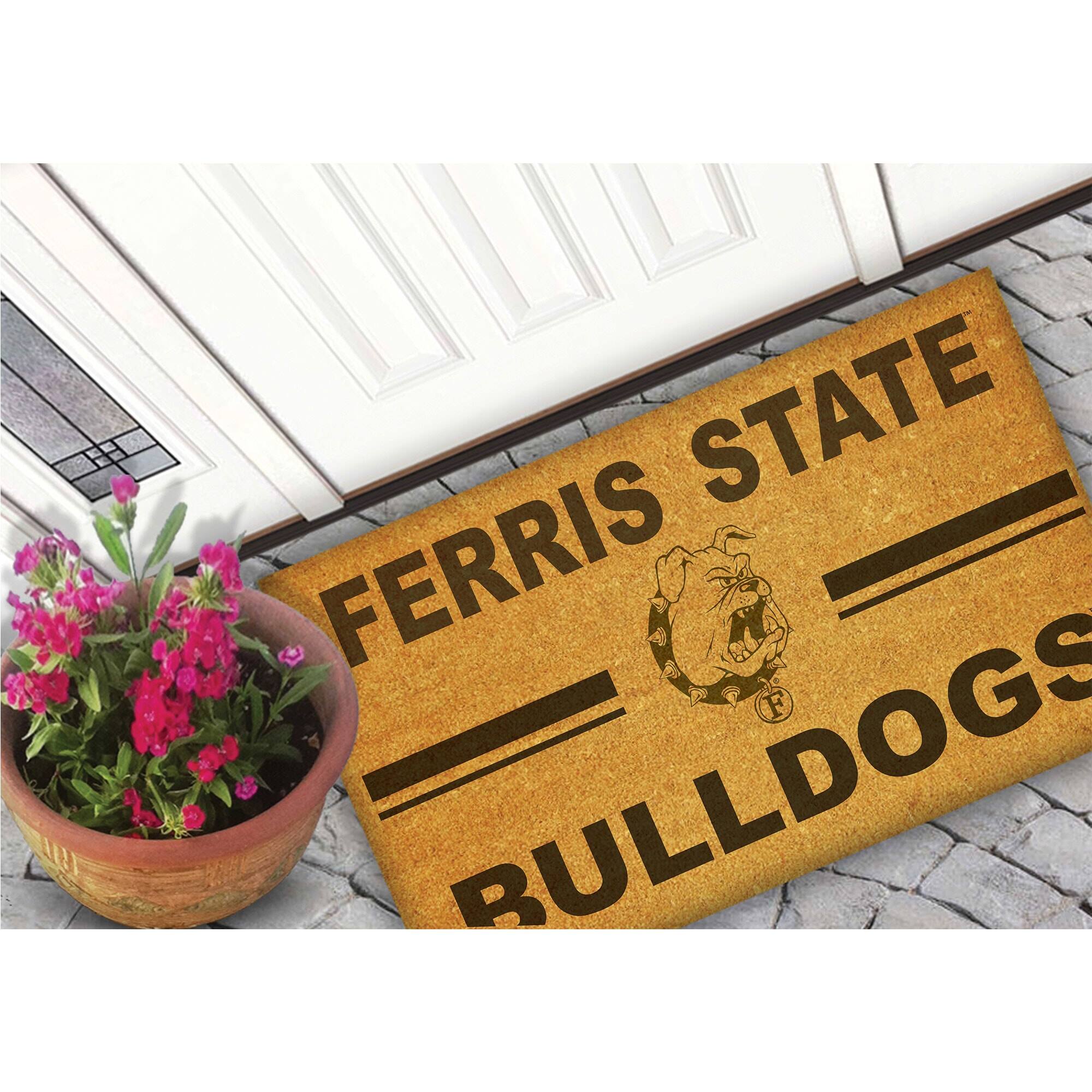 FERRIS STATE  
BULLDOGS