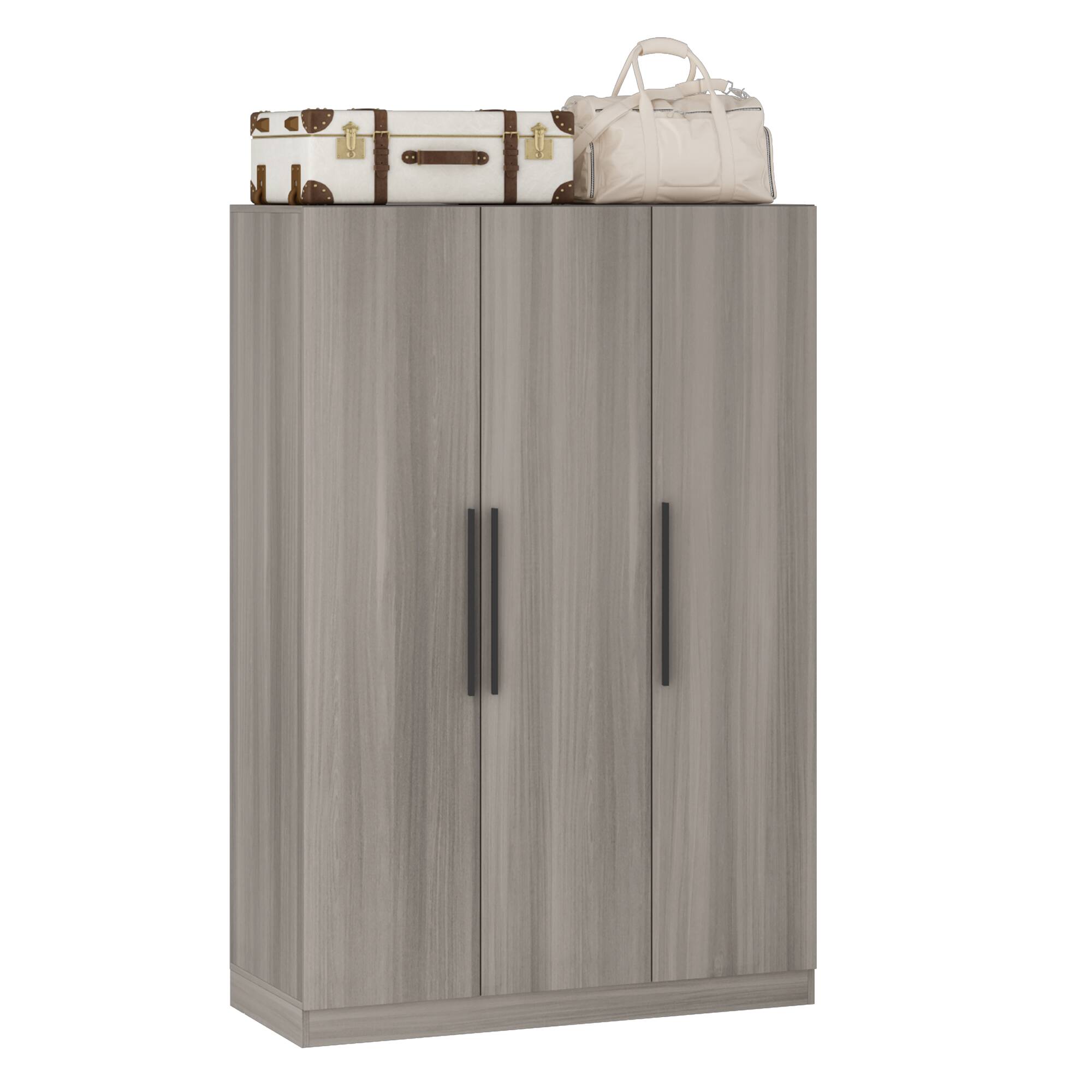 Angle. FUFU & GAGA - FUFU&GAGA 3 - Door Wardrobe: Modern Minimalist Storage with Anti - Tip Safety - Gray.