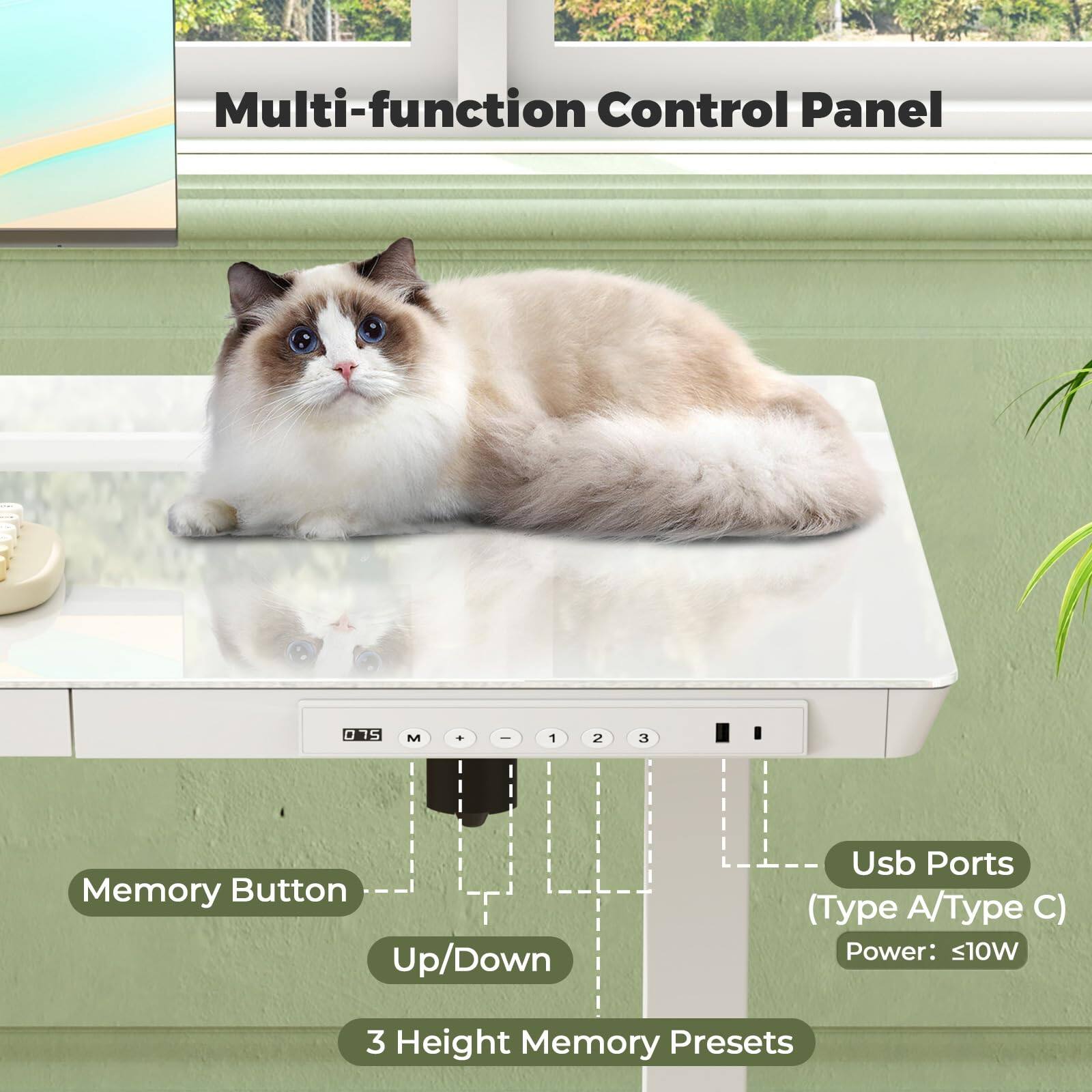 Multi-function Control Panel

- Memory Button
- Up/Down
- 3 Height Memory Presets
- Usb Ports (Type A/Type C)
- Power: ≤10W