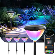 Landscape Lighting