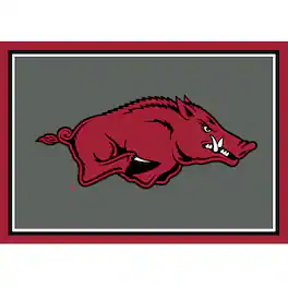 Imperial - Arkansas Razorbacks 2'8" x 3'10" Area Rug - Multicolor