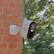 Alt View 2. Lorex - Connect 2K Wi-Fi Battery-Powered Security Camera - White.