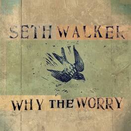 Seth Walker - Why The Worry - VINYL LP