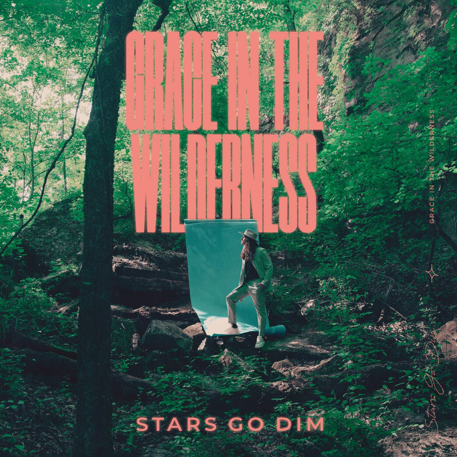 Stars Go Dim - Grace In The Wilderness   - COMPACT DISCS [CD] price history on PriceWatchPro