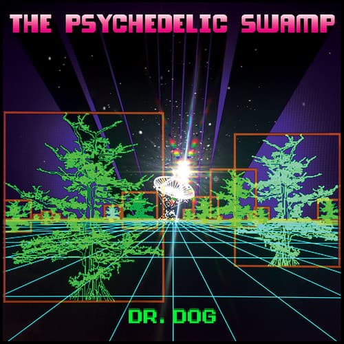 Dr. Dog - The Psychedelic Swamp  - VINYL LP
