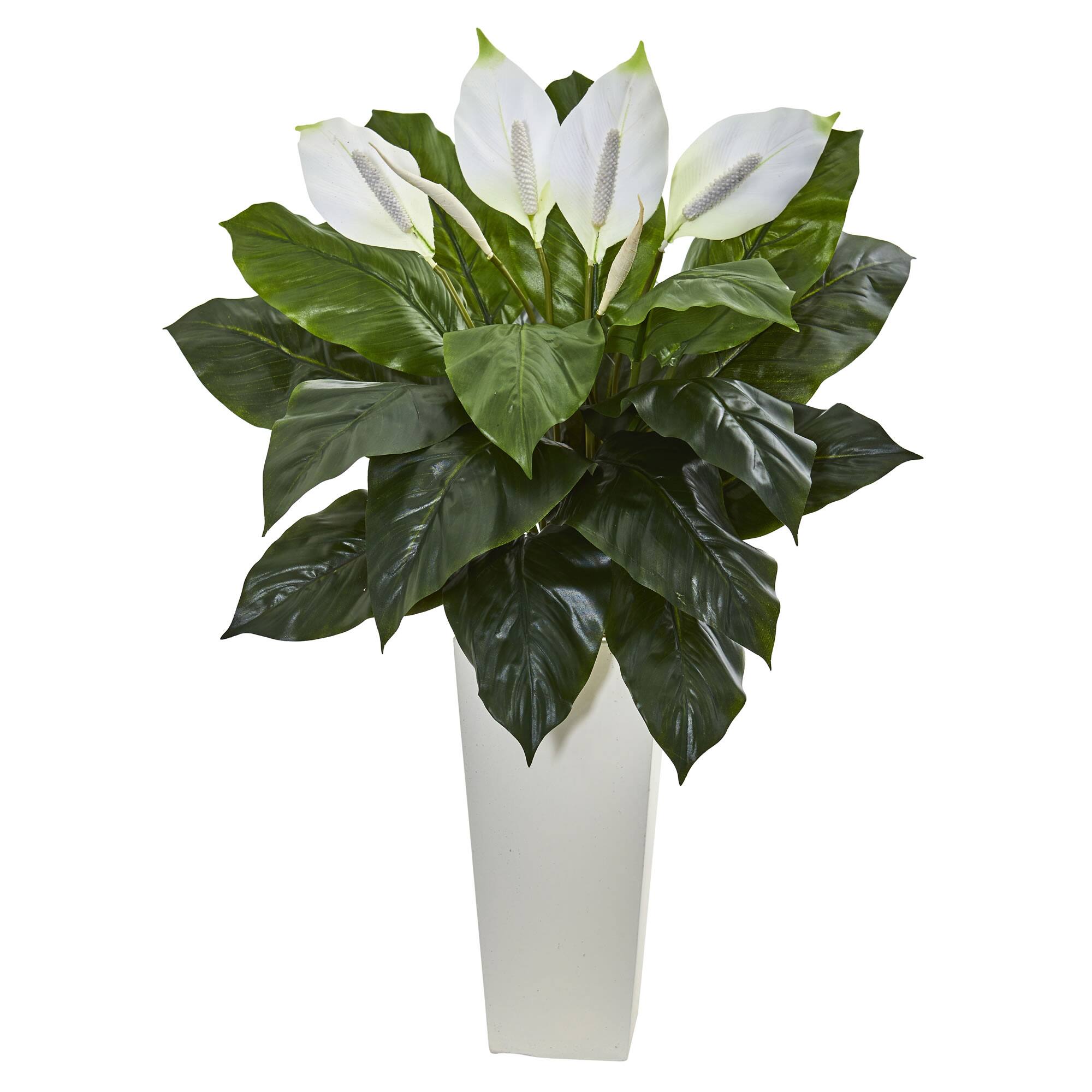 Front. BreeBe - 3' Spathifyllum Plant in White Tower Planter - Green.