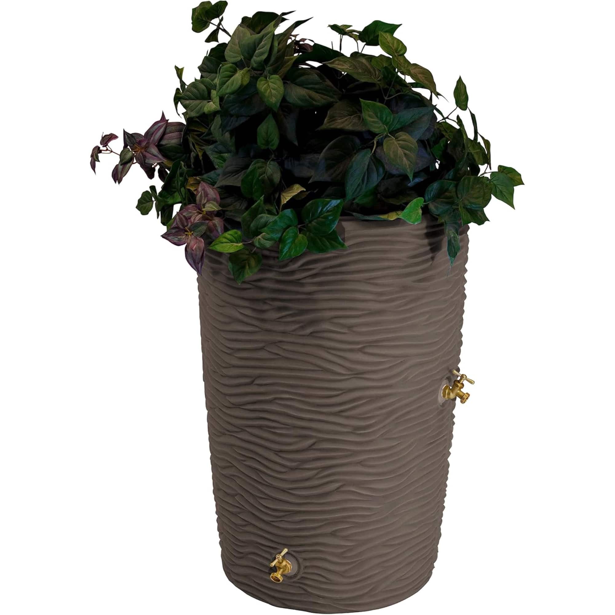 Good Ideas - Impressions 50 Gallon Palm Trunk Rain Saver Barrell, 2 Spigots - Oak price history on PriceWatchPro