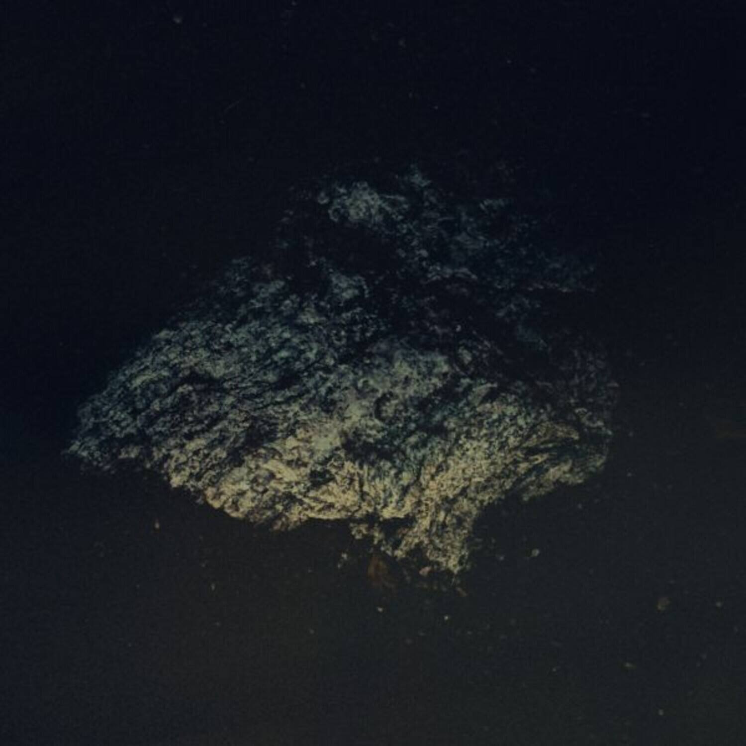 Front. Multicast Dynamics - Lost World   - COMPACT DISCS.