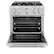 Alt View 1. ZLINE - ZLINE 30 in. 4.2 cu. ft. Freestanding Select Gas Range w/ Convection Oven in Stainless Steel w/ 4 Brass Burners - Stainless Steel.