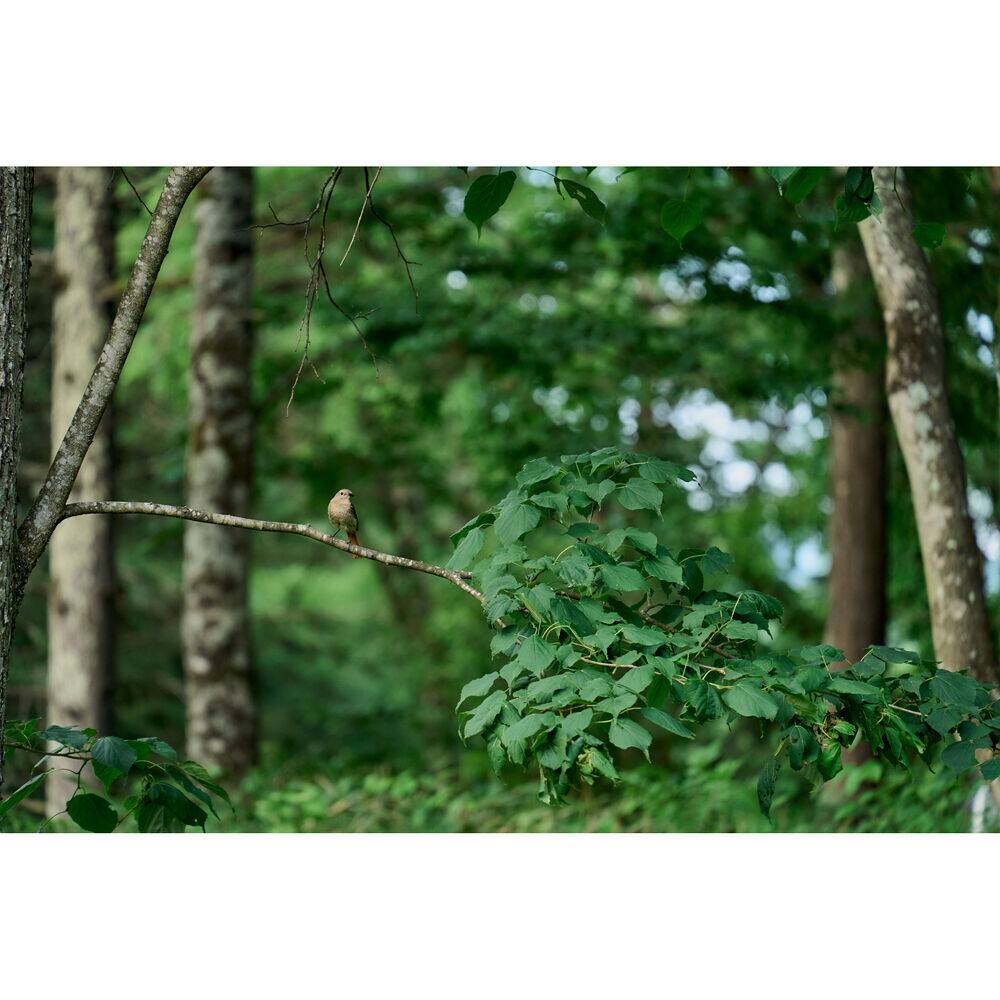Alt View 4. Sigma - Sigma 20-200mm f/3.5-6.3 DG  Lens (Sony E)  Bundle 2 - Black.