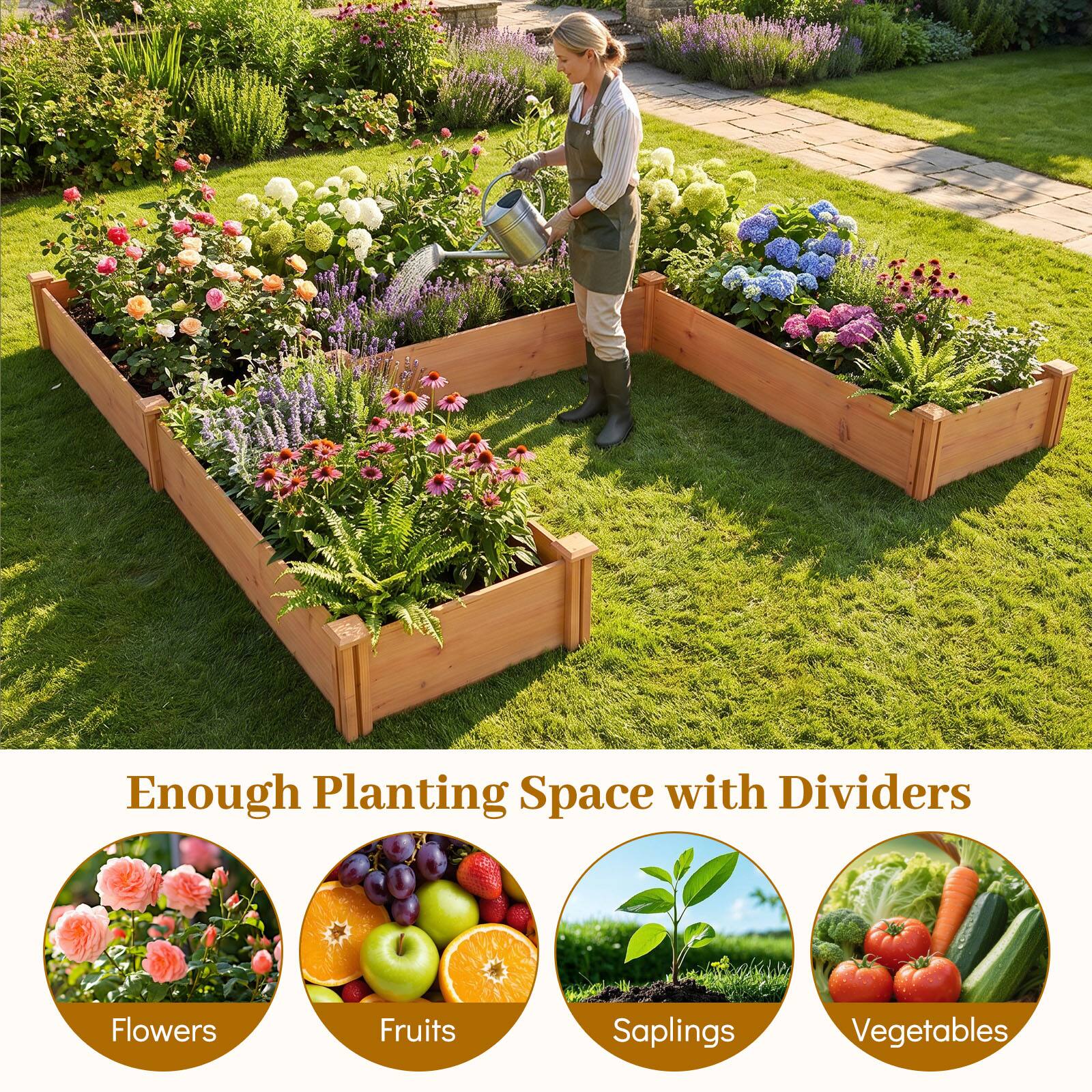 Enough Planting Space with Dividers

Flowers  
Fruits  
Saplings  
Vegetables