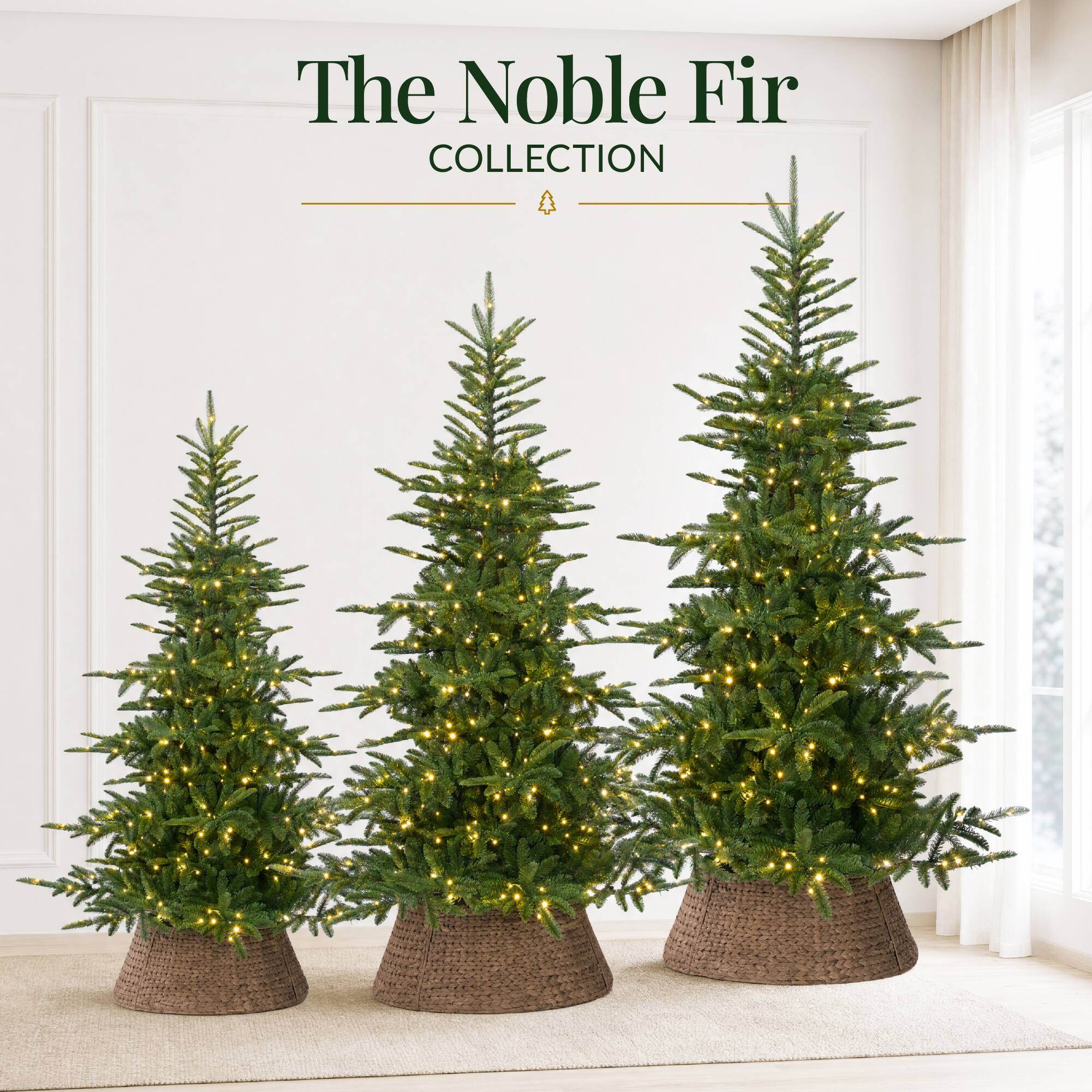 The Noble Fir COLLECTION
