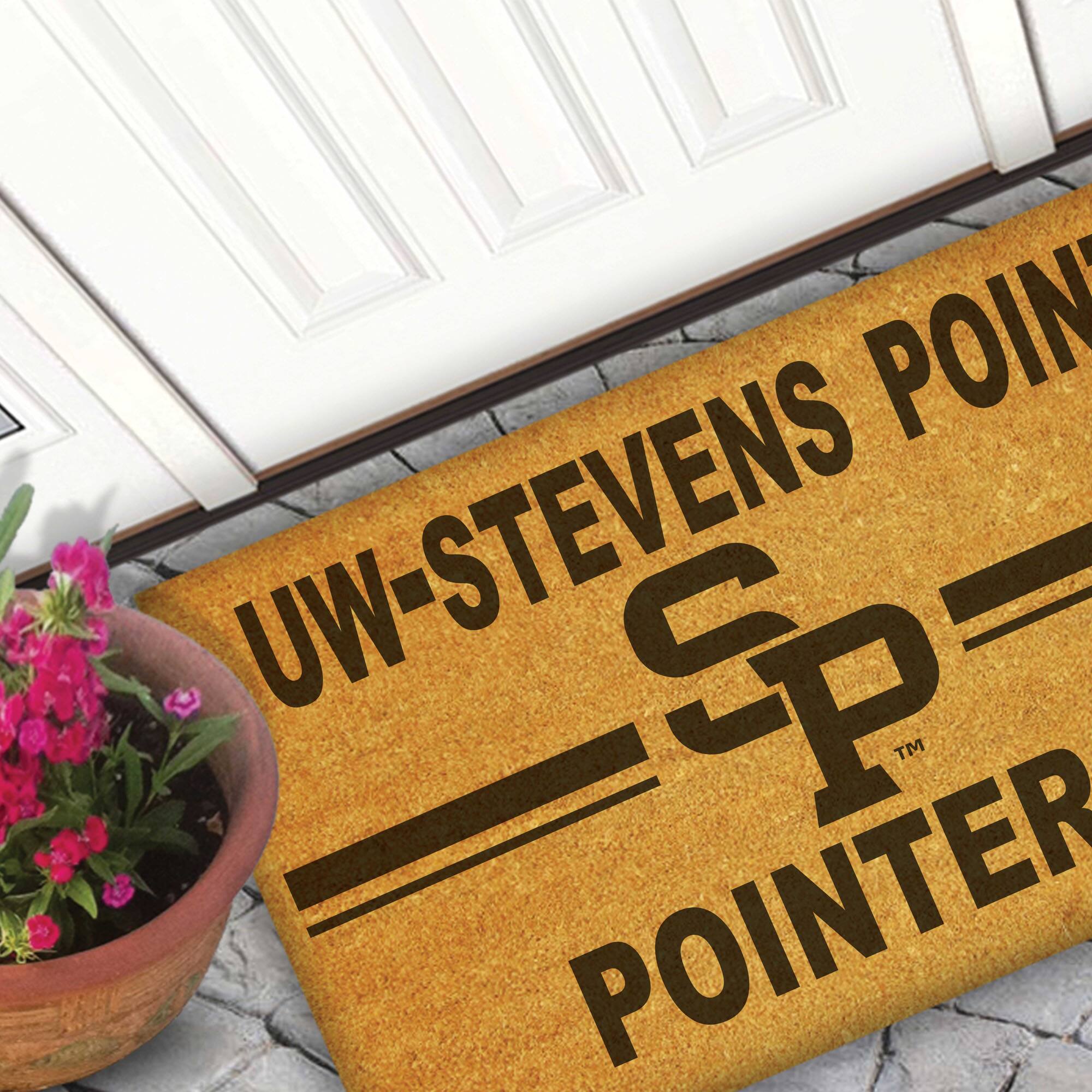 UW-STEVENSP POINTER