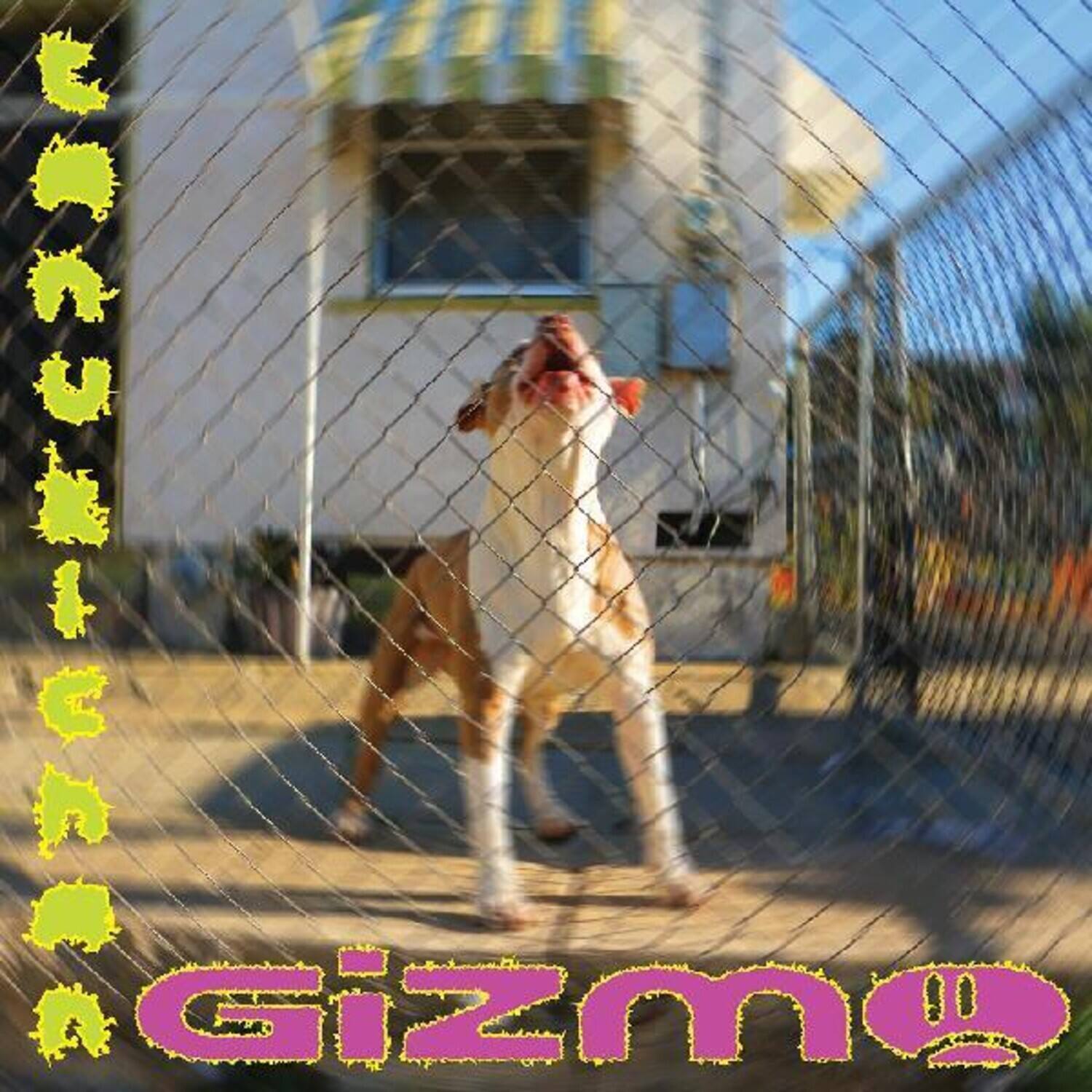 Front. Tanukichan - Gizmo   - COMPACT DISCS.