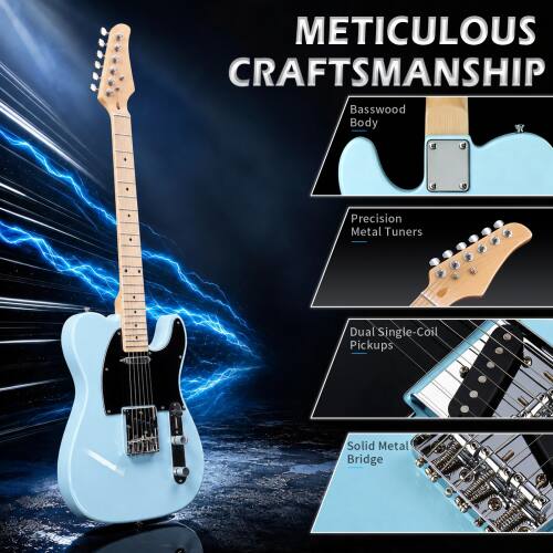 METICULOUS CRAFTSMANSHIP  
Basswood Body  
Precision Metal Tuners  
Dual Single-Coil Pickups  
Solid Metal Bridge