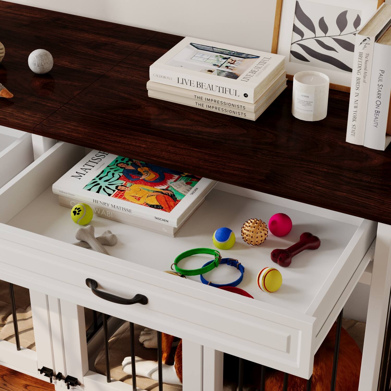 Sure, here is the corrected and grouped text from the image:

---

**Top Shelf:**

- LIVE BEAUTIFUL
  - THE IMPRESSIONISTS
  - THE IMPRESSIONISTS

- BREEDING BIRDS
  - A NEW YORK STATE

- PAUL STARCK ON BEAUTY

---

**Bottom Shelf:**

- MATISSE
  - HENRY MATISSE
  - WABI
  - TASCHEN

---

**Other Text:**

- CALDERON
  - LIVE

---

**Additional Items:**

- Various dog toys and accessories (not text)

---