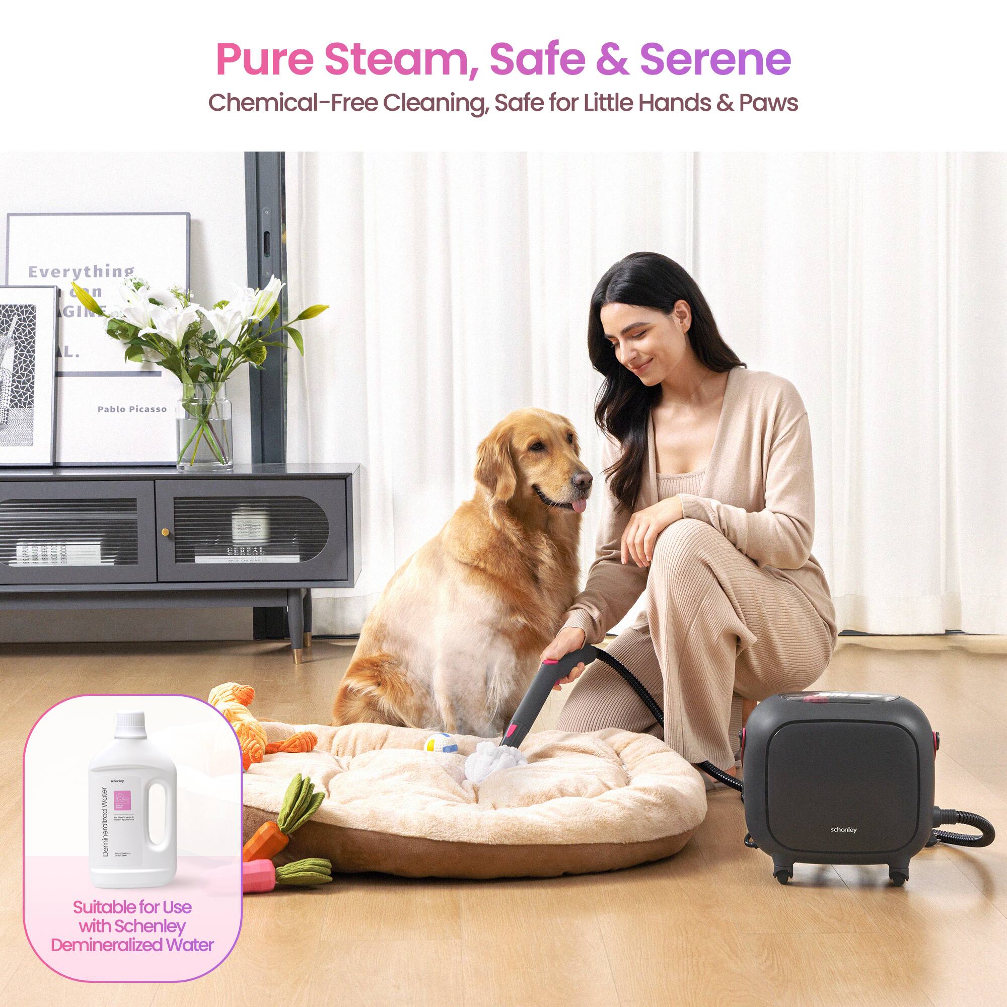 Pure Steam, Safe & Serene  
Chemical-Free Cleaning, Safe for Little Hands & Paws  

Everything Can GIN L.  
Pablo Picasso  

Suitable for Use with Schenley Demineralized Water