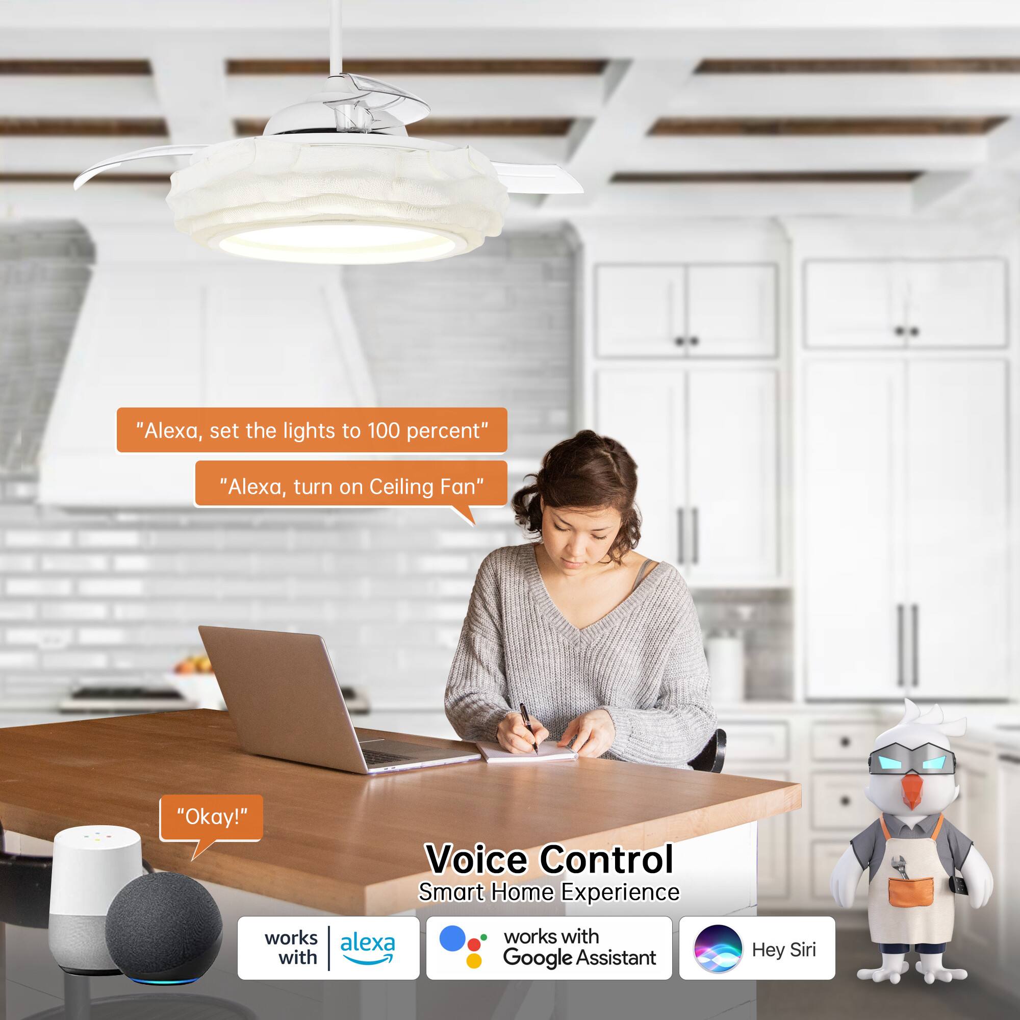 "Alexa, set the lights to 100 percent"  
"Alexa, turn on Ceiling Fan"  
"Okay!"  

Voice Control Smart Home Experience  
works with Alexa  
works with Google Assistant  
Hey Siri