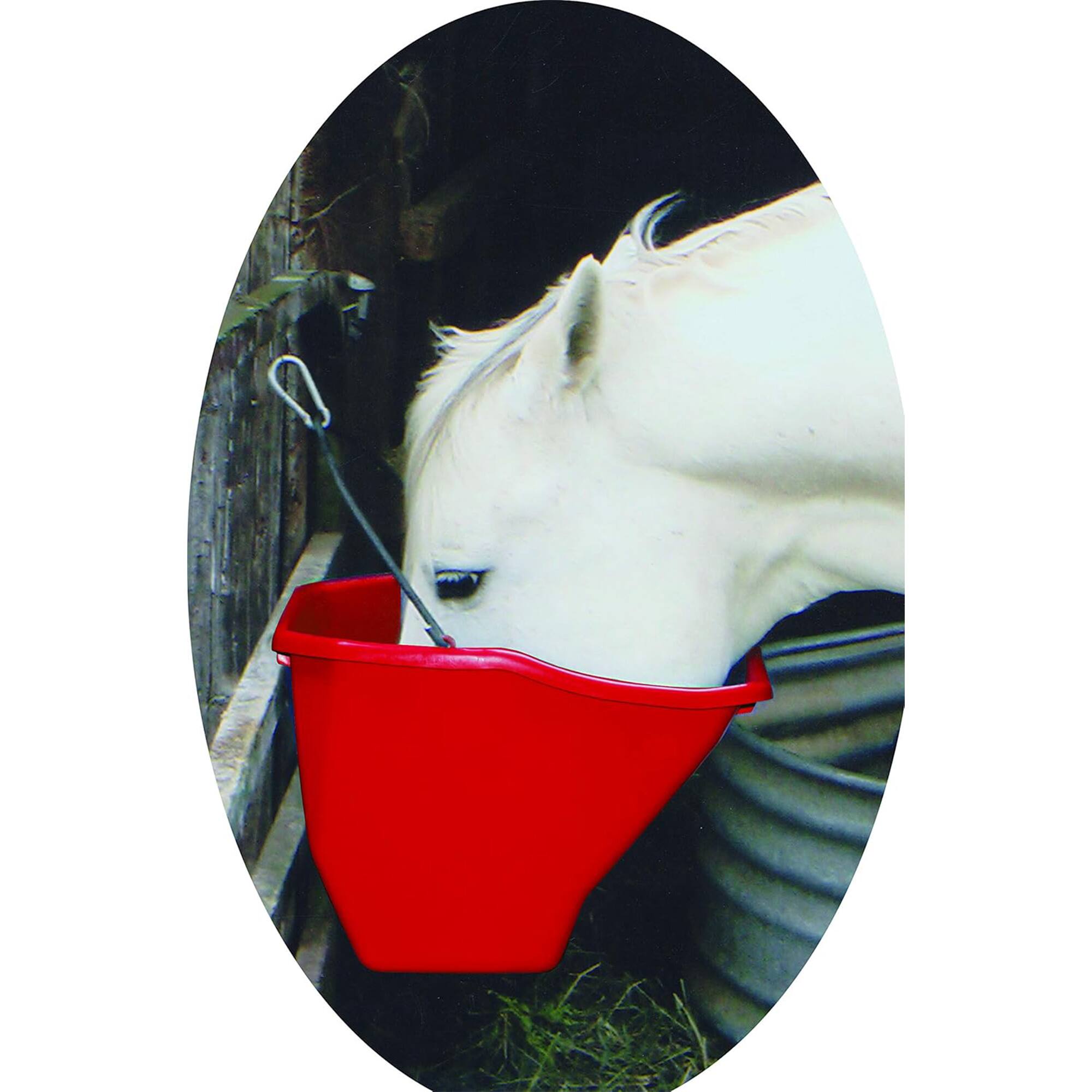Alt View 2. Little Giant - Little Giant Flat Back Plastic Horse Feed Bucket, Metal Handle, 10 Quarts, Red - RED.