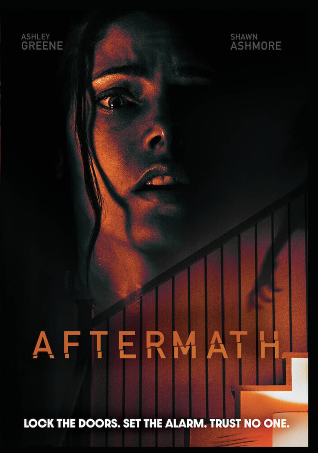 Aftermath   - DVD