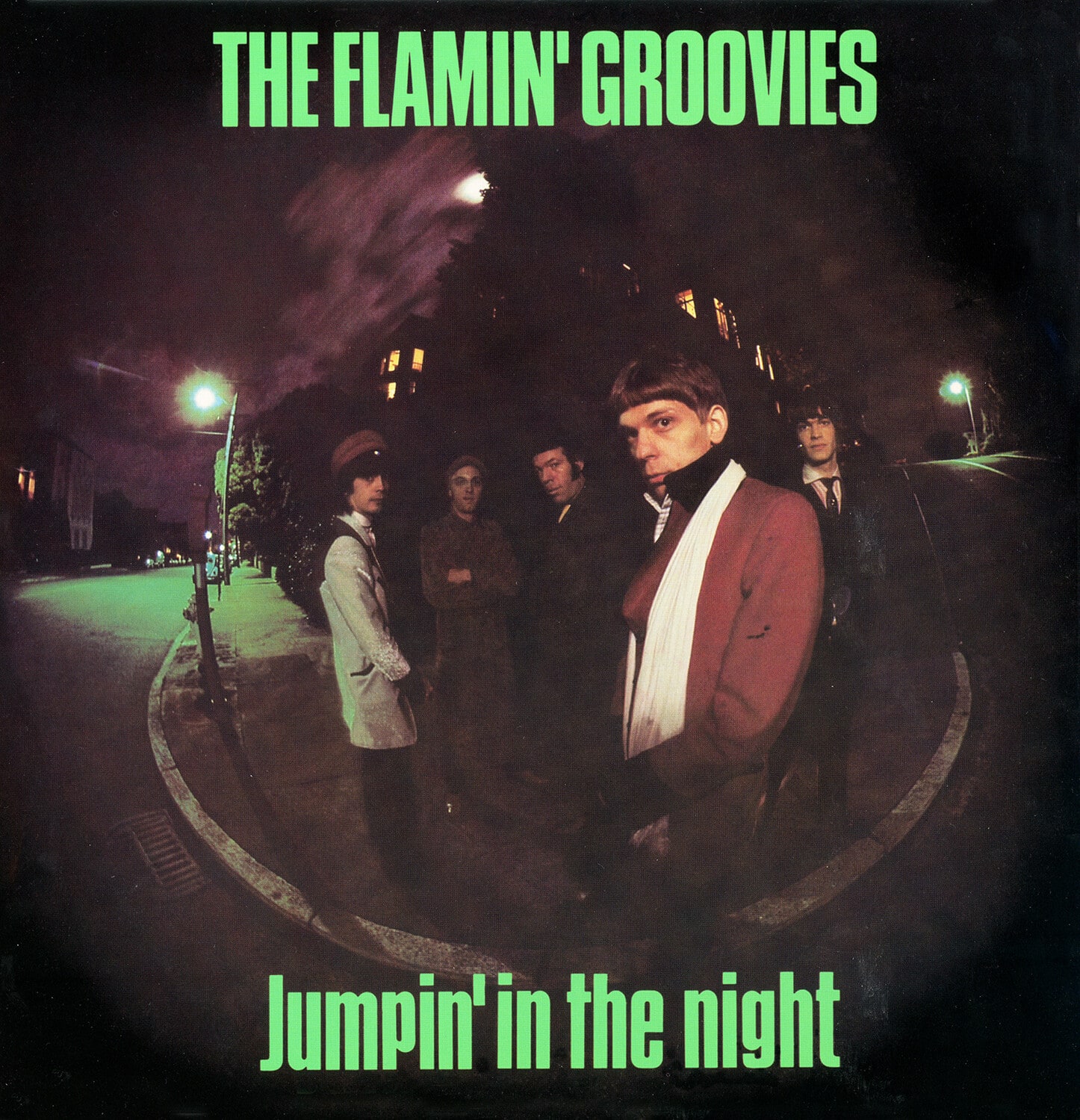 Flamin' Groovies - Jumpin' In The Night  - VINYL LP