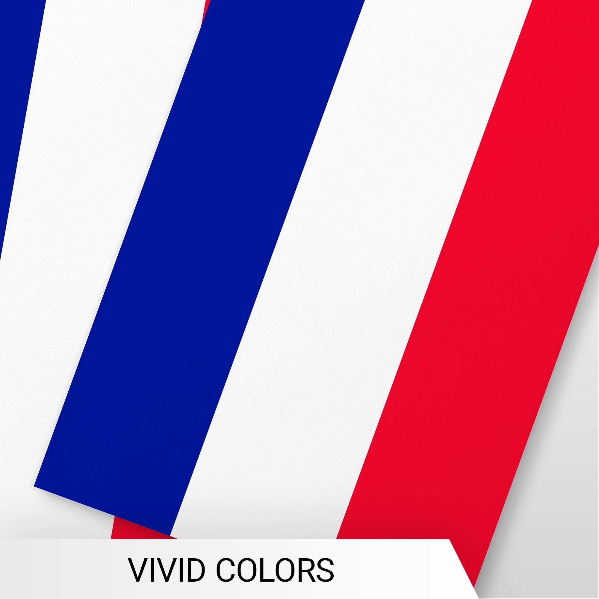 VIVID COLORS