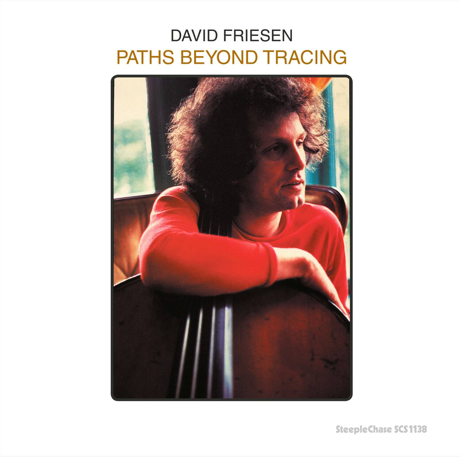 David Friesen - Paths Beyond Tracing - VINYL LP