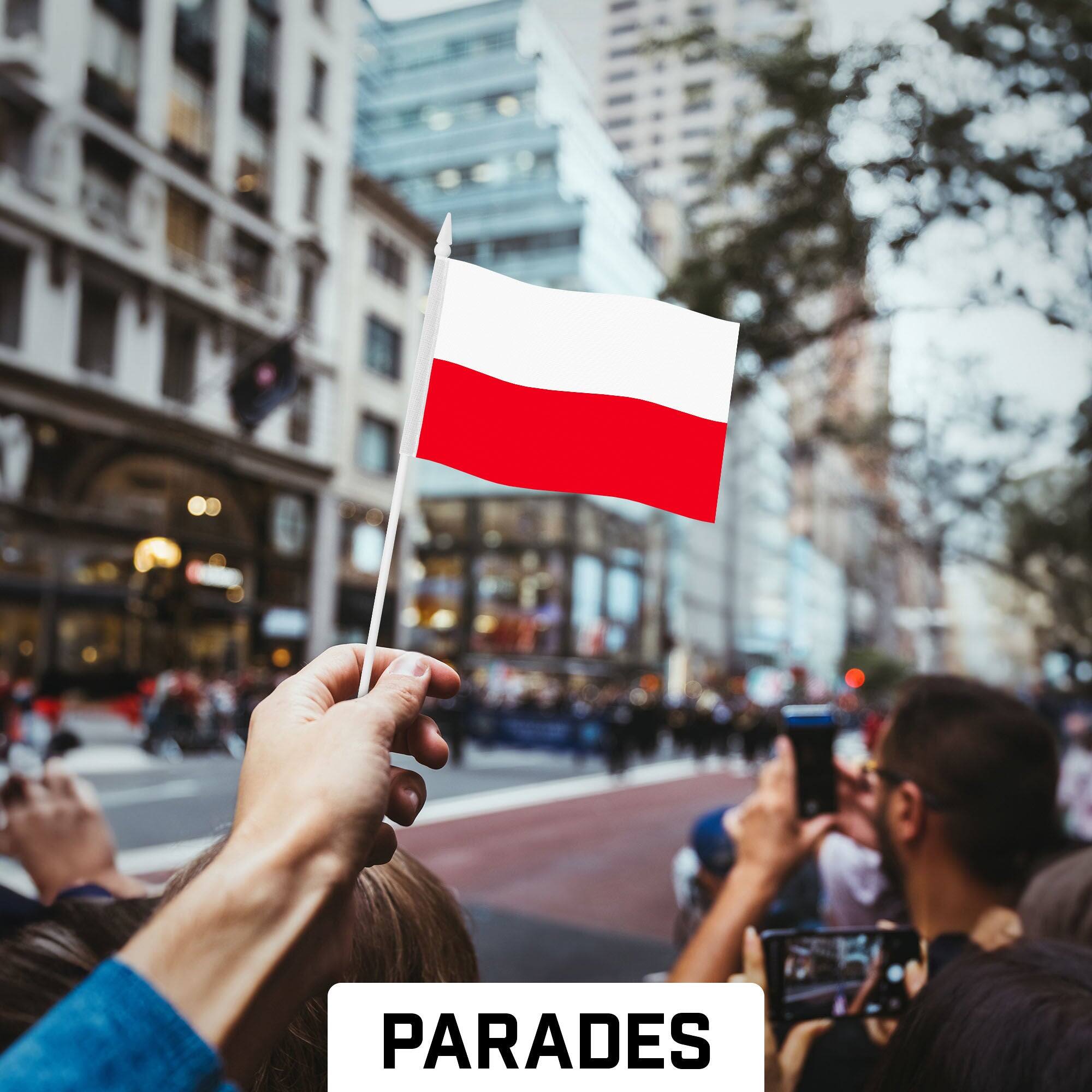 Back. G128 - 50-Pack Handheld Poland Flags, 4 x 6 in Polyester with Plastic Stick. - Assorted Colors.
