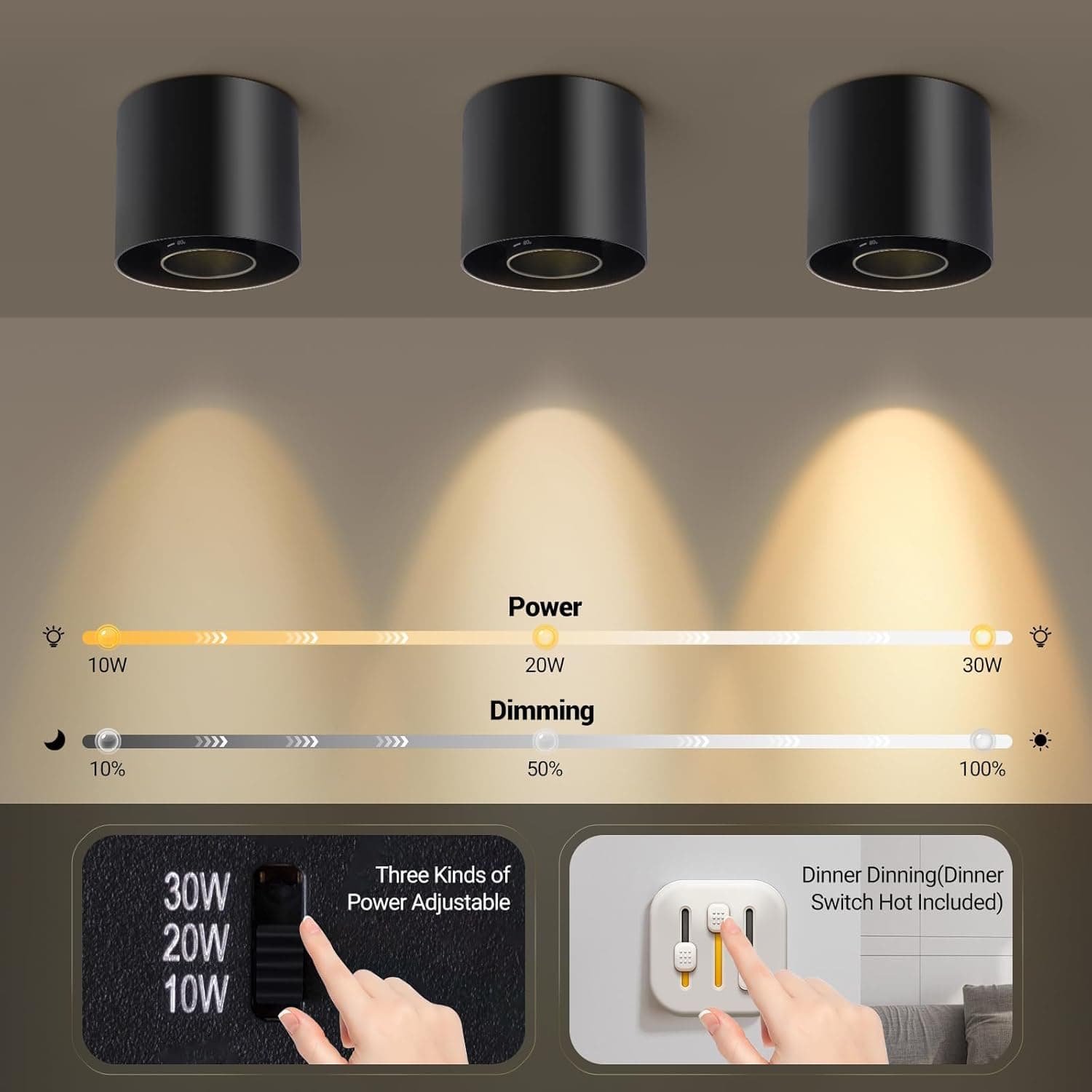Power: 10W, 20W, 30W  
Dimming: 10%, 50%, 100%  
Three Kinds of Power Adjustable  
Dinner Dinning (Dinner Switch Hot Included)