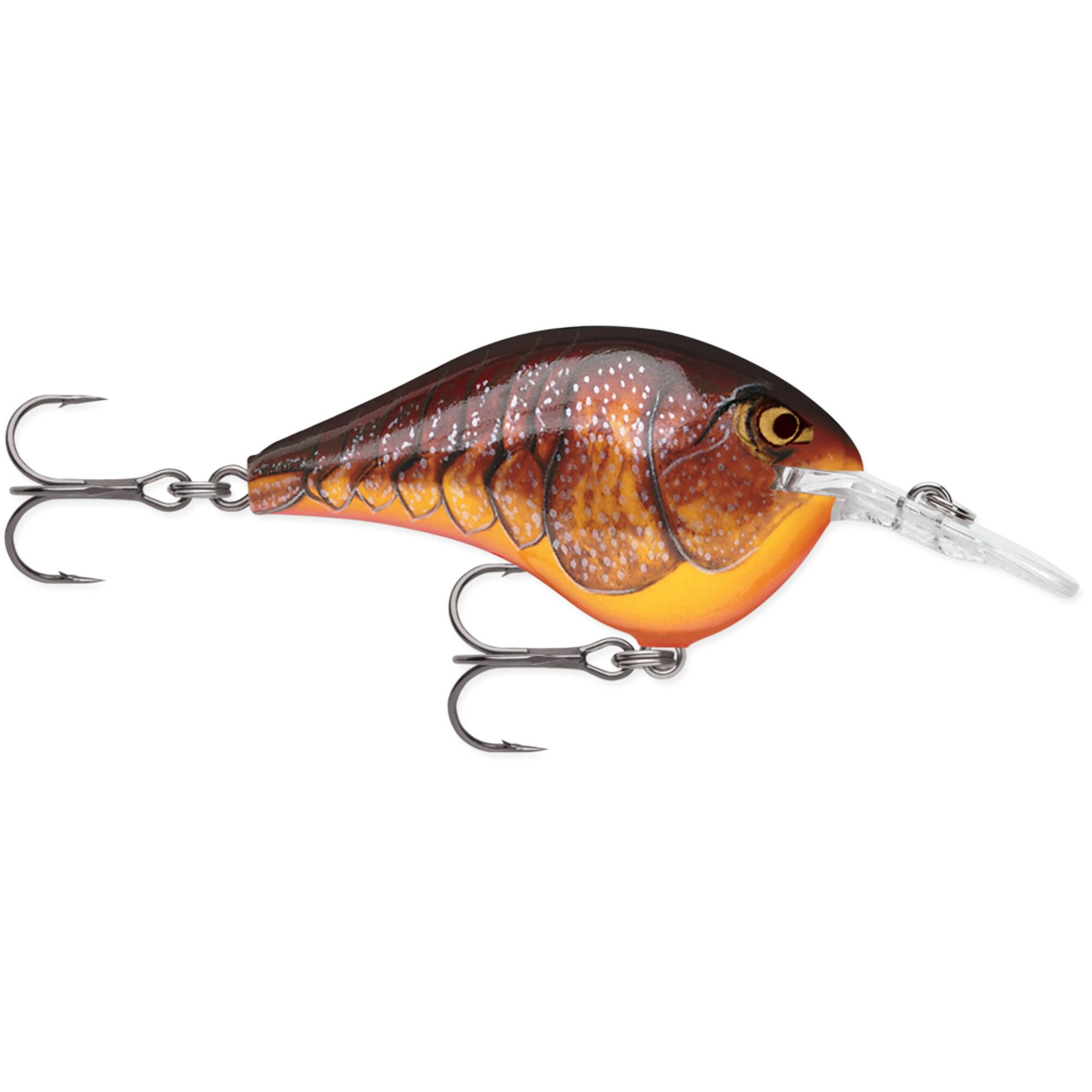 Dark Brown Crawdad