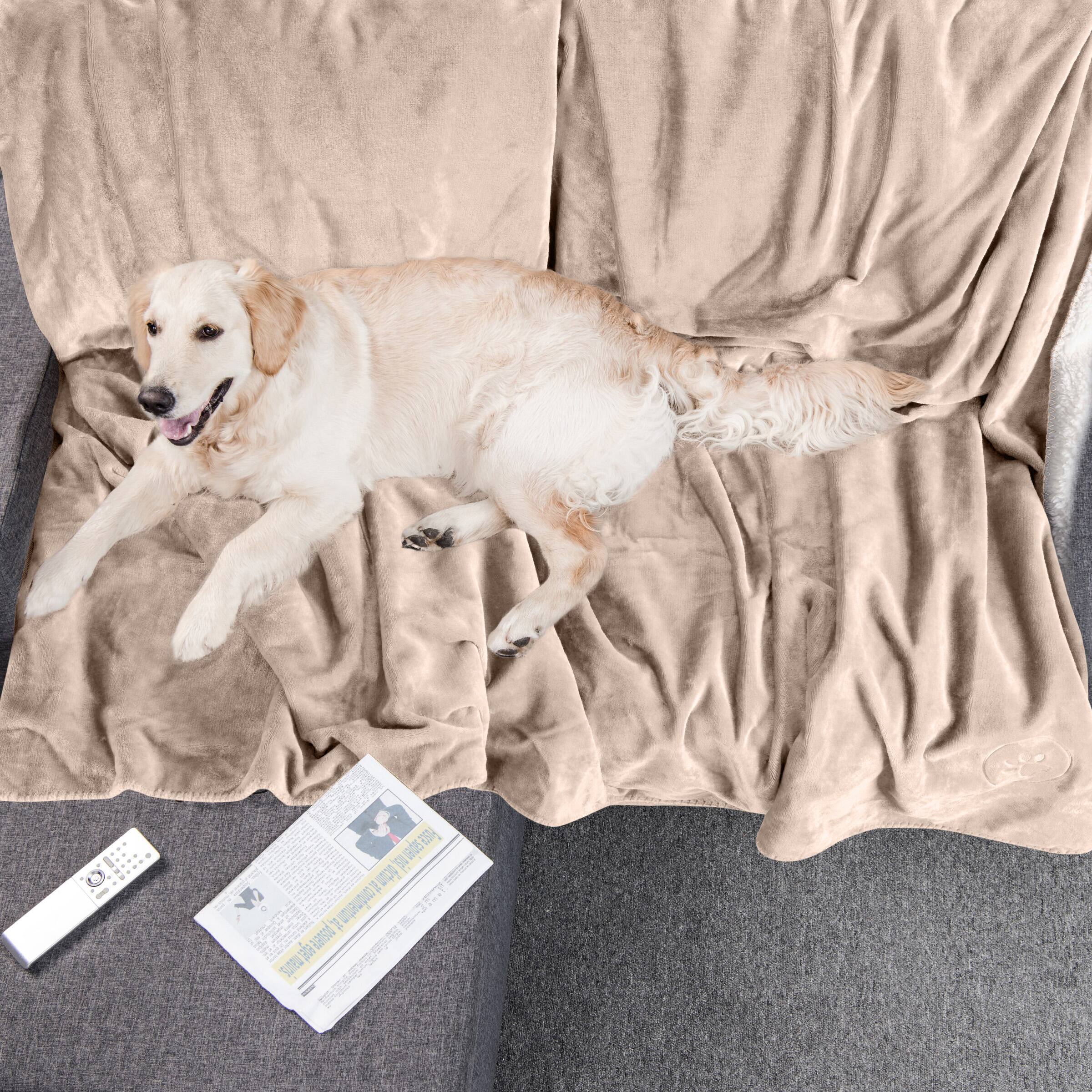 Sure, here is the corrected text:

- P s.spieni 0e D TE wp
- 1 uu E posuere
- SUTEW