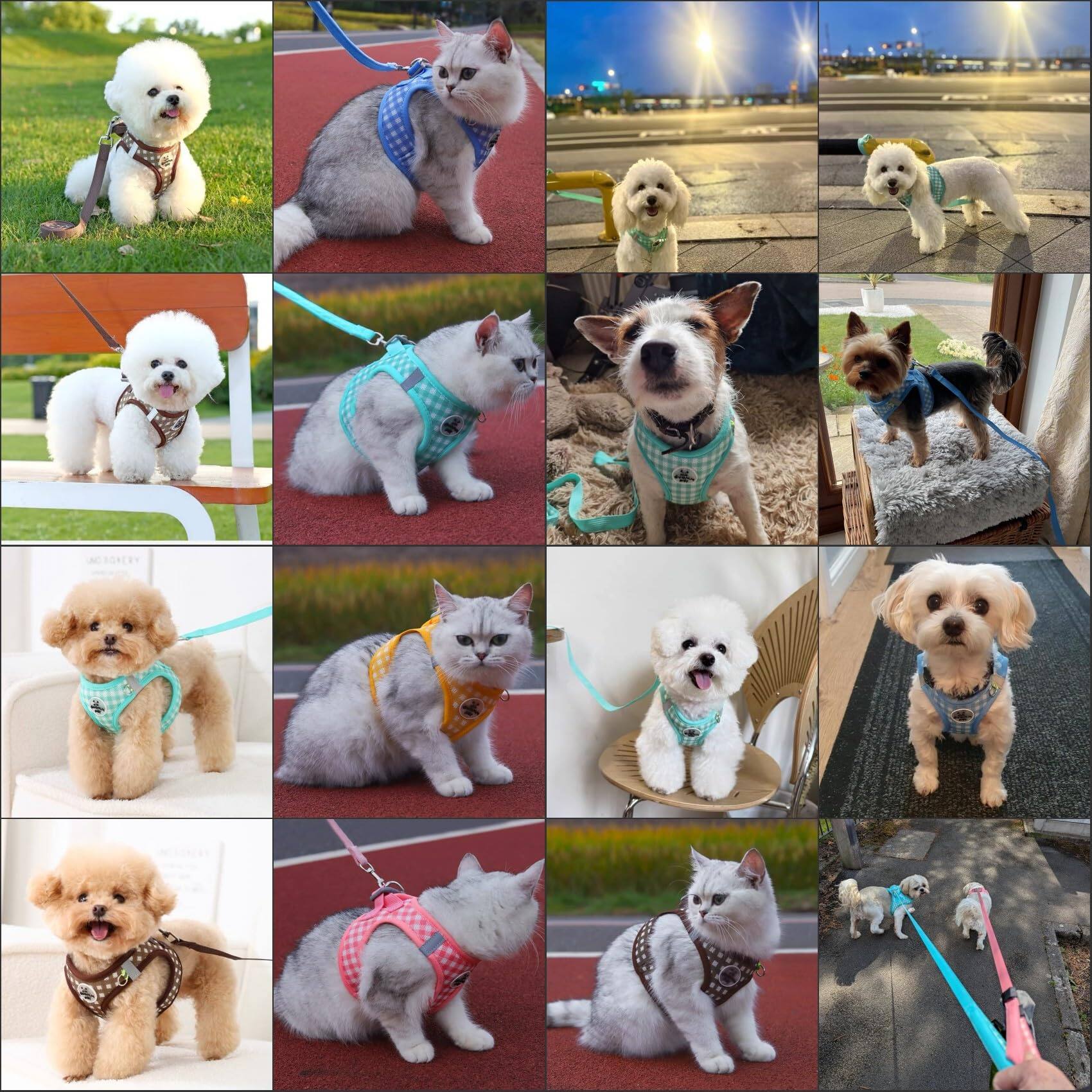 Alt View 7. Paradigms Interiors - Dog Harness And Leash Set Soft Mesh Breathable Reflective Puppy No Pull Pet For Dogs Cats - Pink-Medium.