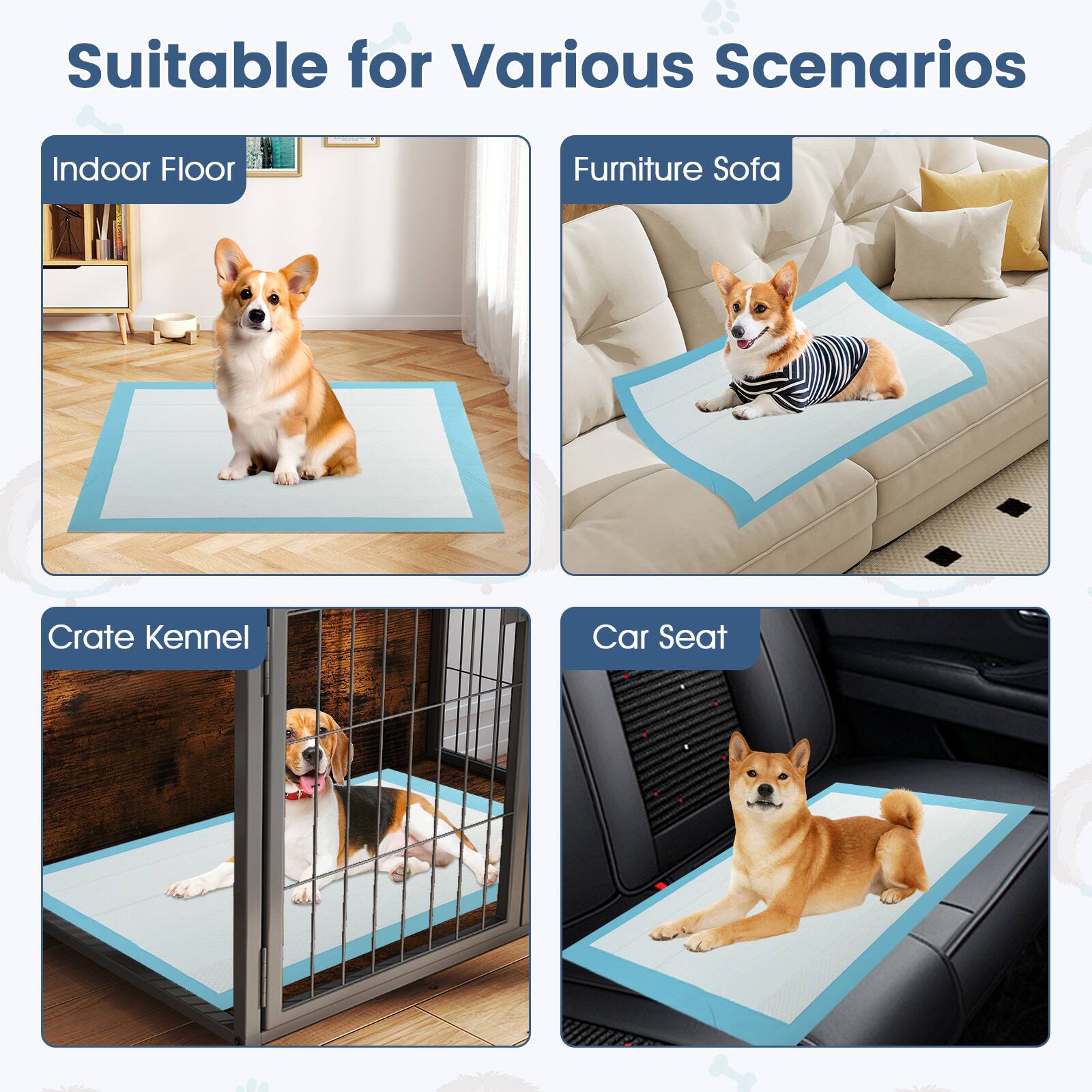 Suitable for Various Scenarios

- Indoor Floor
- Furniture Sofa
- Crate Kennel
- Car Seat