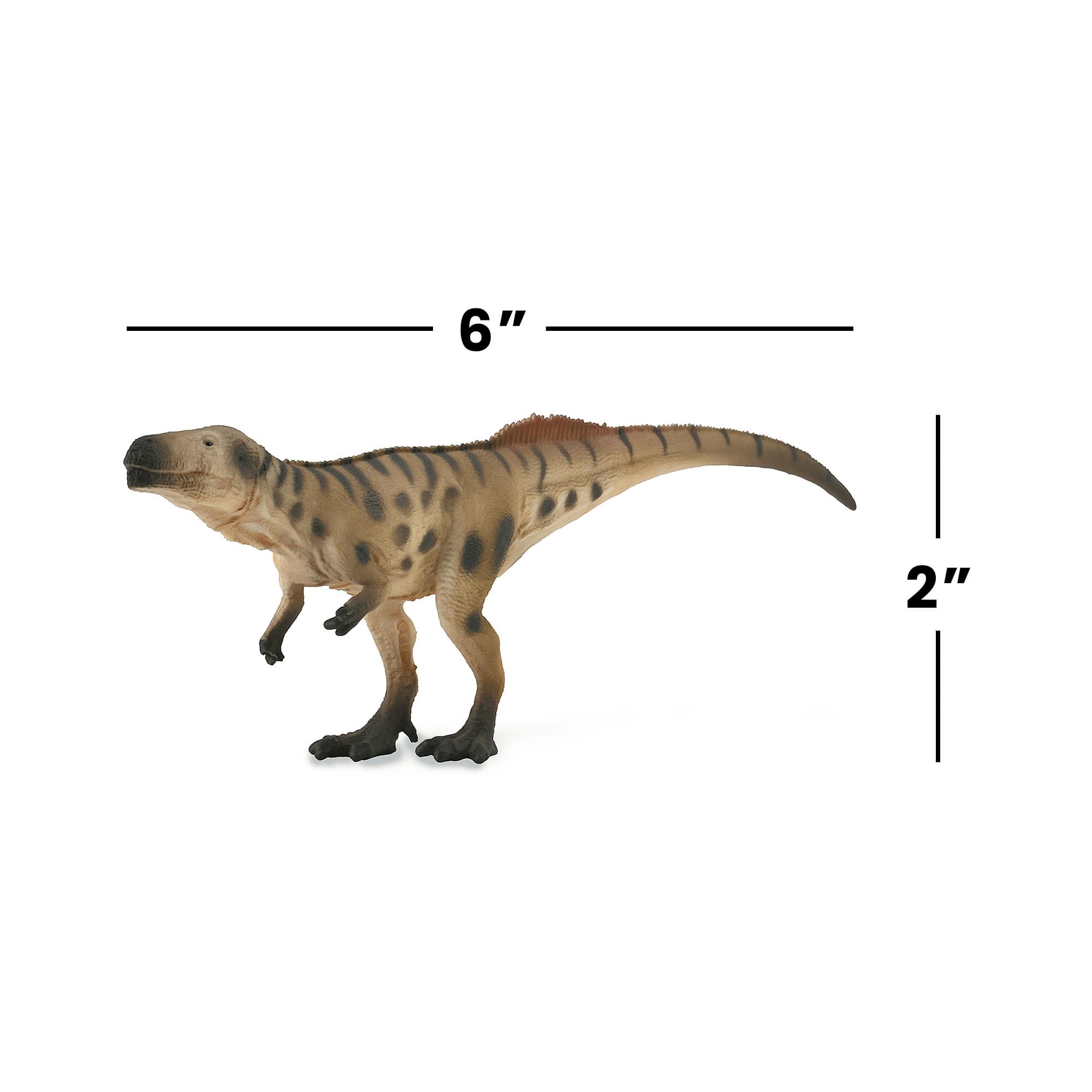 Alt View 2. Breyer - CollectA Prehistoric Life Collection Miniature Figure | Megalosaurus in Ambush - Brown.