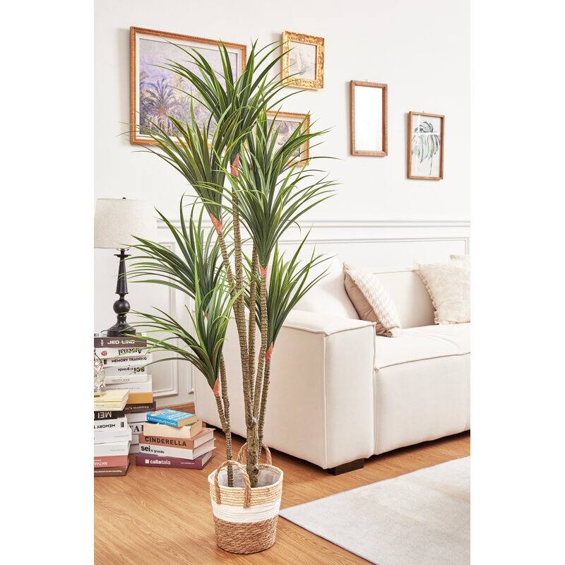 I JED LOE Assenal H Tam - IDS MEI LABOMEN AI CINDERELLA sei. - NATHVA callaitala